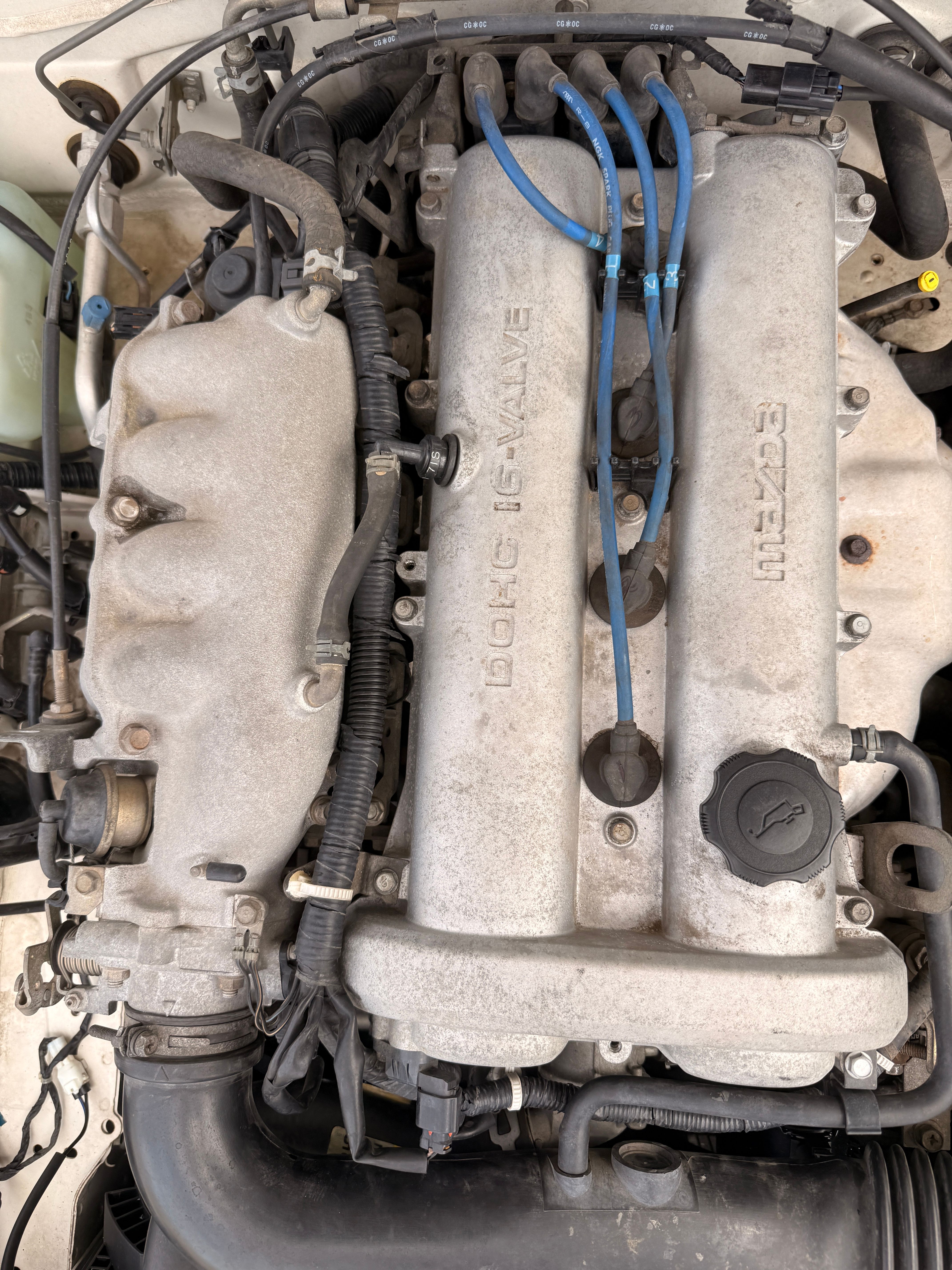 Used 2000 MAZDA MX-5 Miata RWD image 5