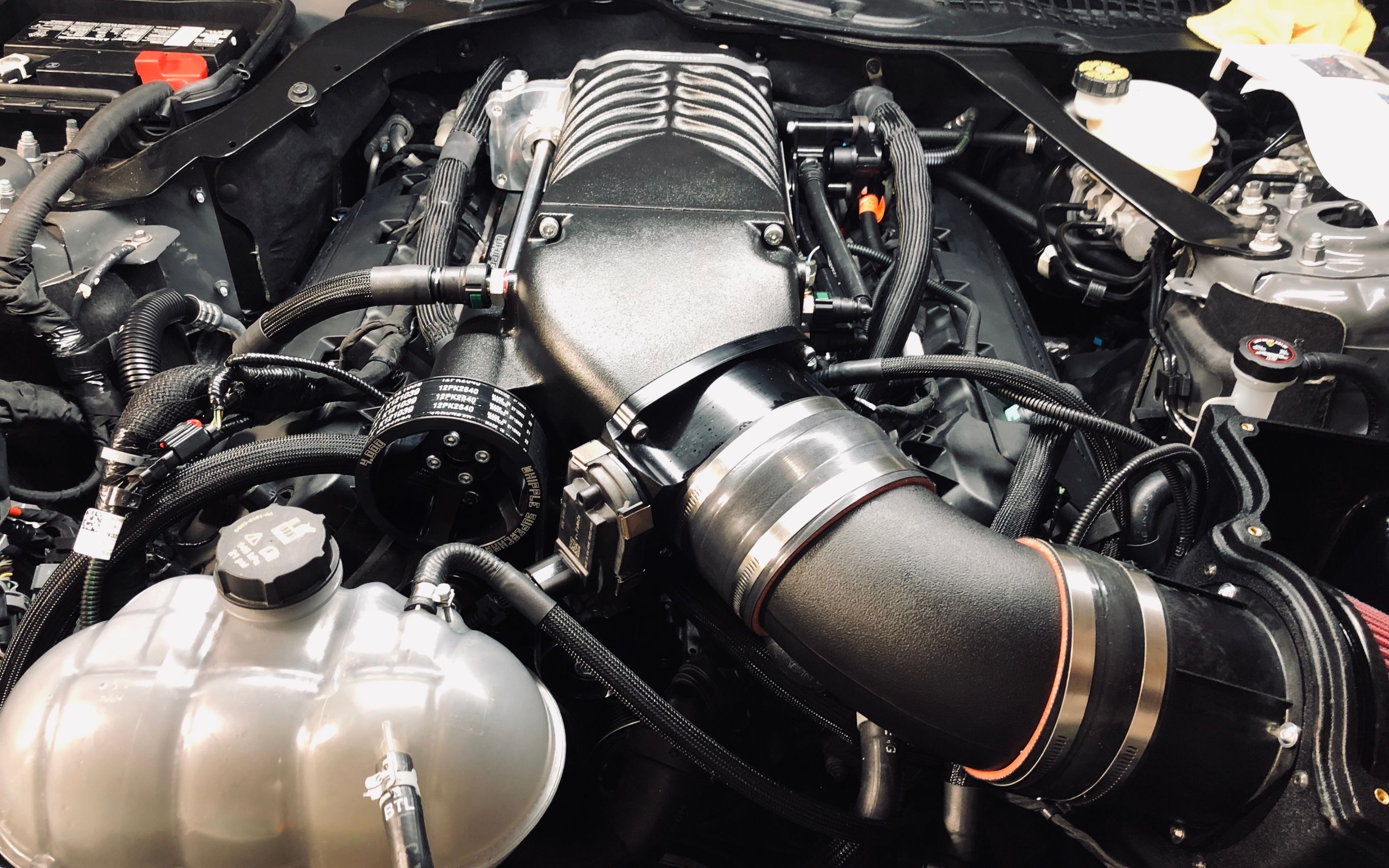 Used 2018 Ford Mustang Shelby GT350 w/ Electronics Package RWD image 10