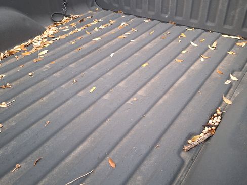 Used 2007 Chevrolet Silverado 1500 LS image 8