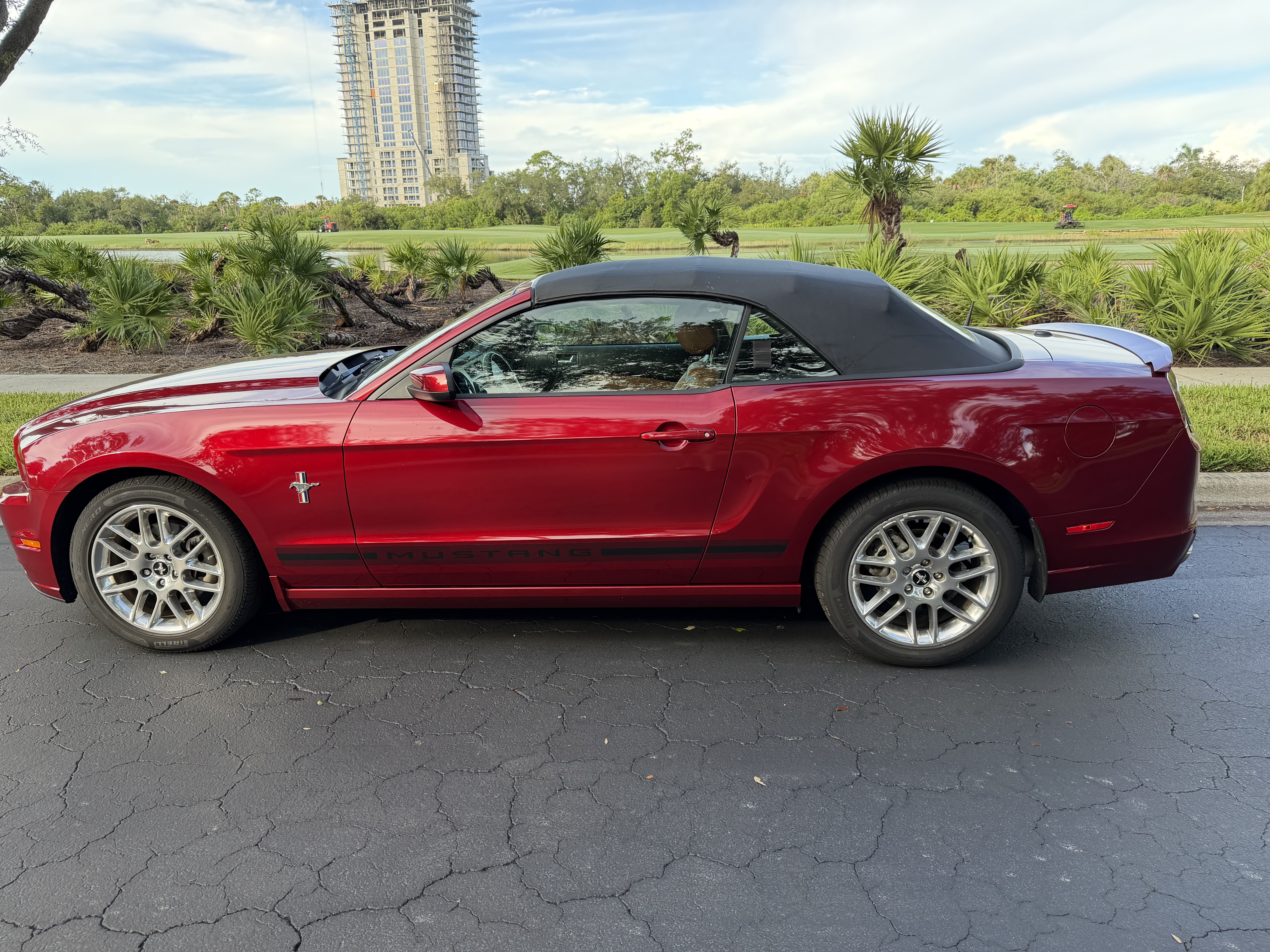 Used 2014 Ford Mustang Premium w/ Equipment Group 202A RWD image 1