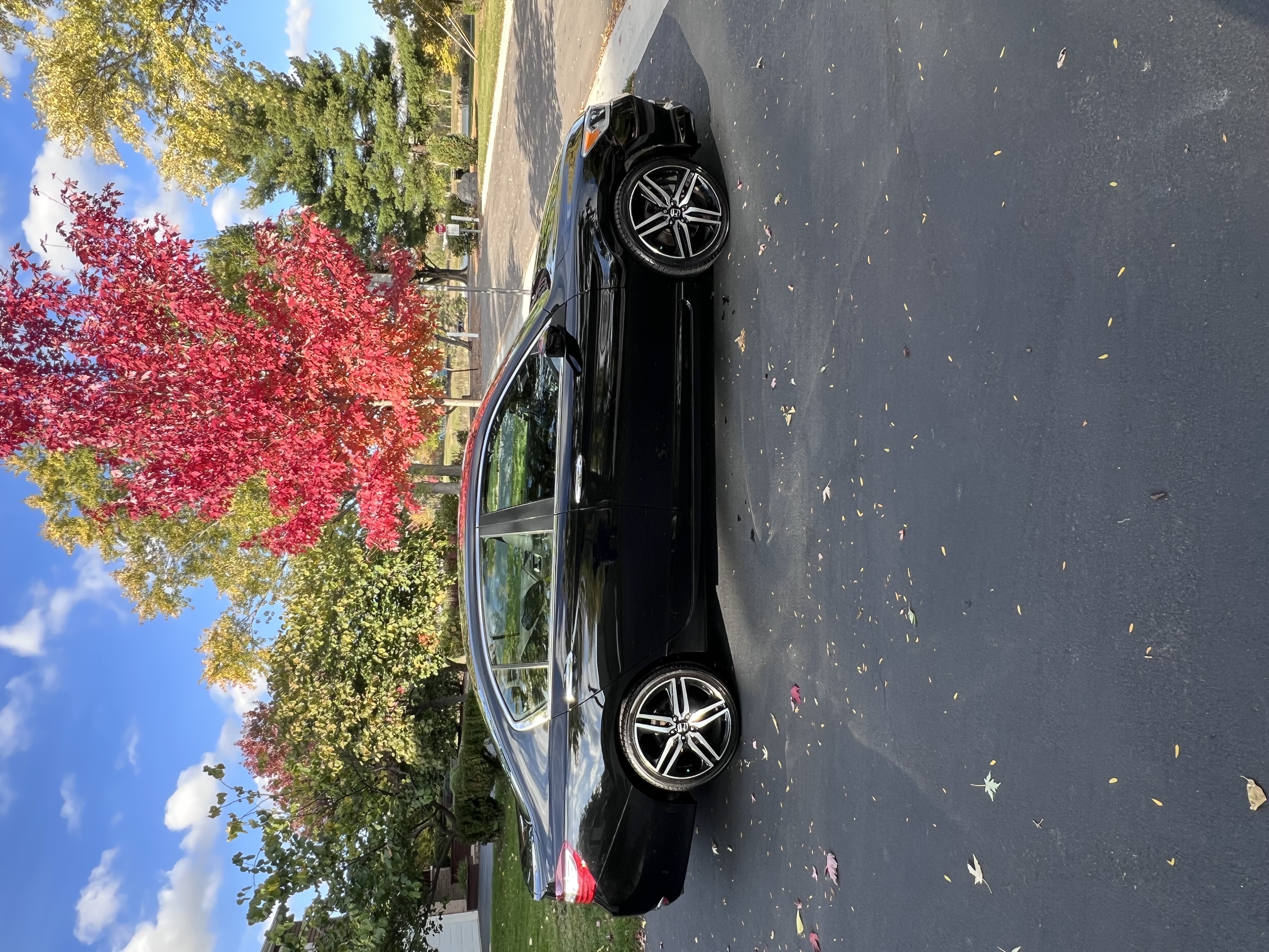 Used 2017 Honda Accord Sport Special Edition image 2