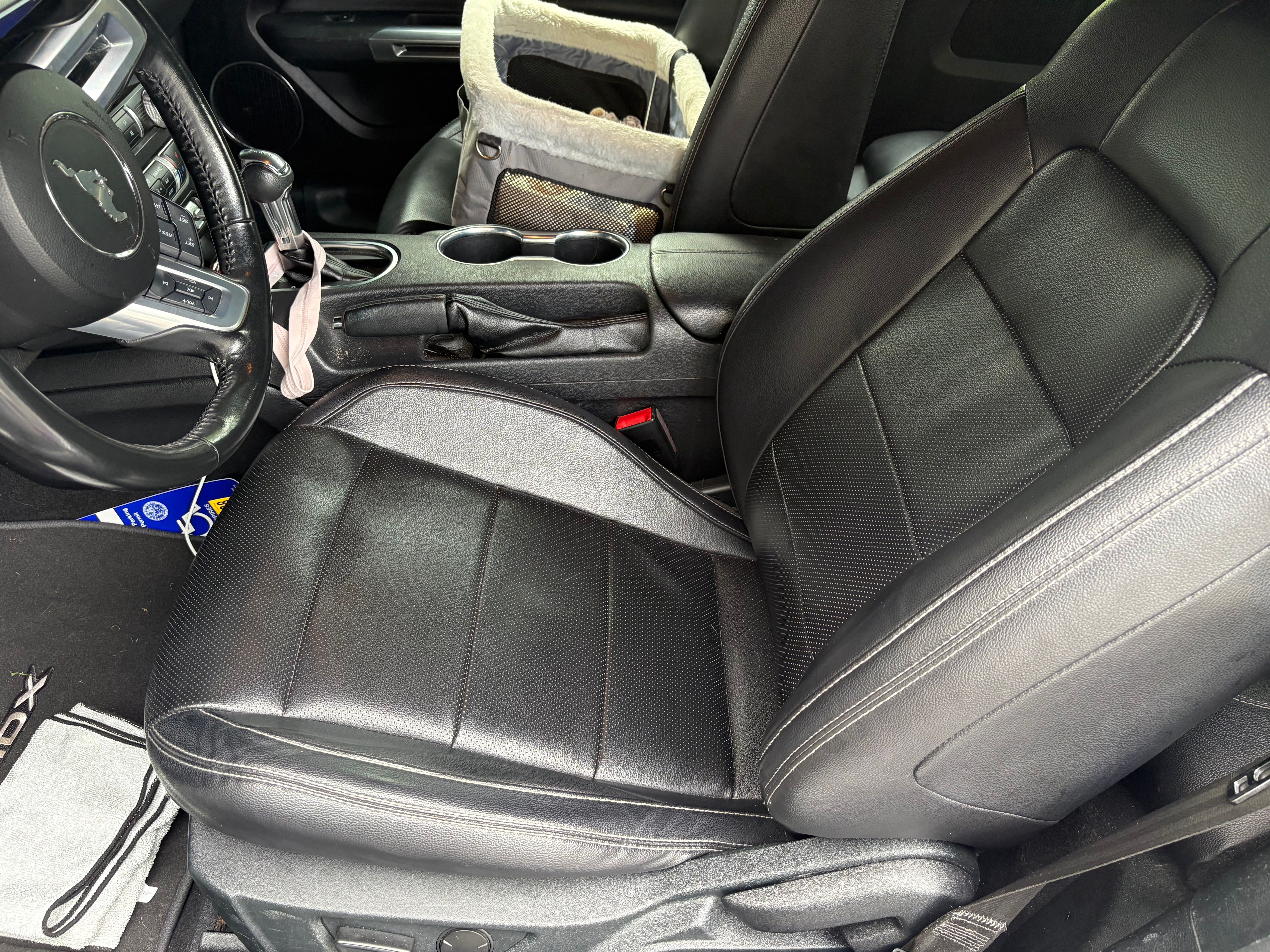 Used 2023 Ford Mustang Premium RWD image 5