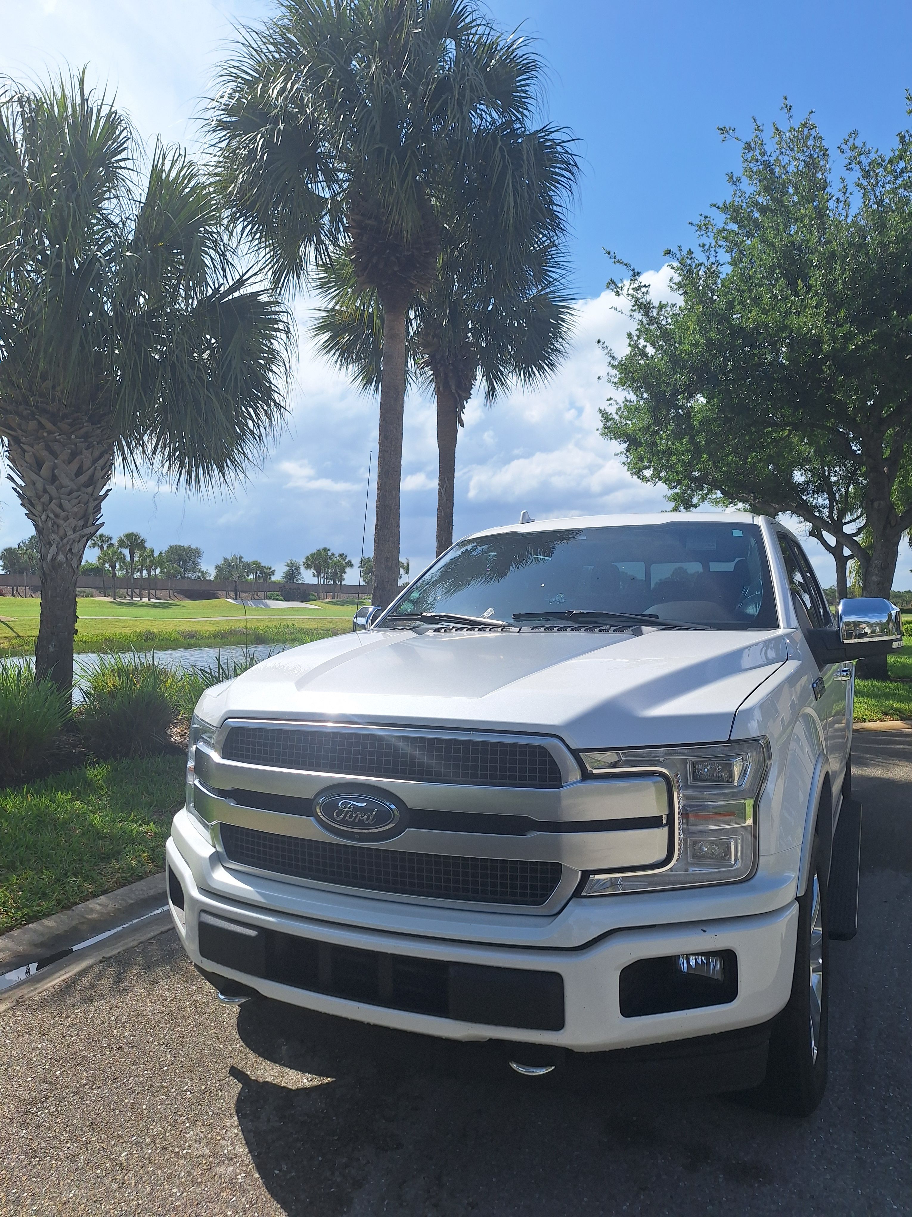 Used 2019 Ford F150 Platinum w/ Equipment Group 701A Luxury AWD/4WD image 1