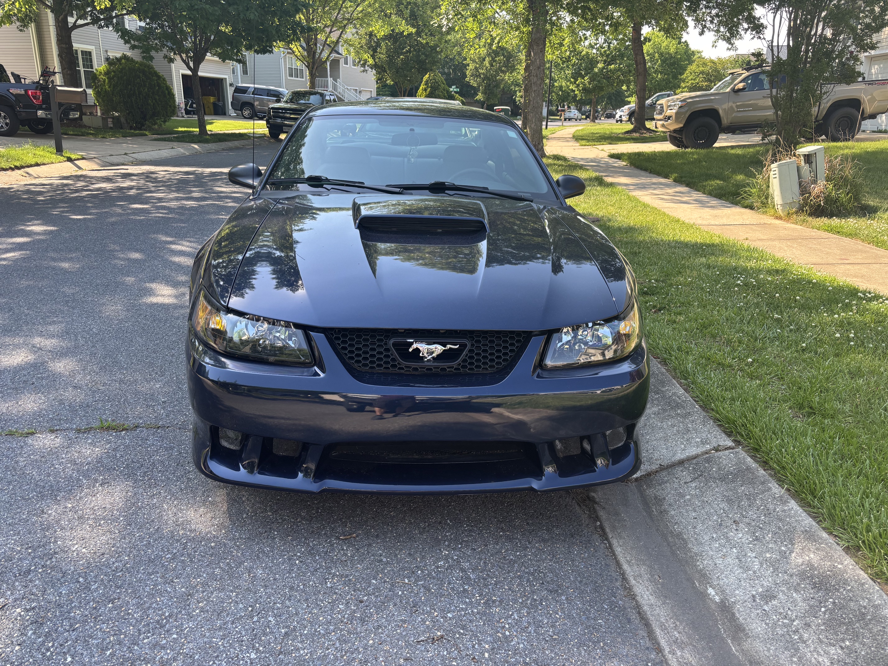 Used 2002 Ford Mustang GT Premium RWD image 4