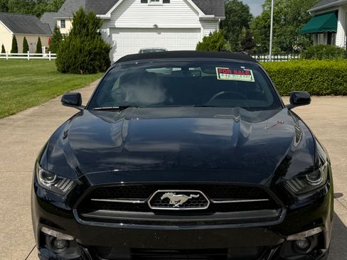 Used 2015 Ford Mustang Premium w/ 50 Years Appearance Package RWD image 1
