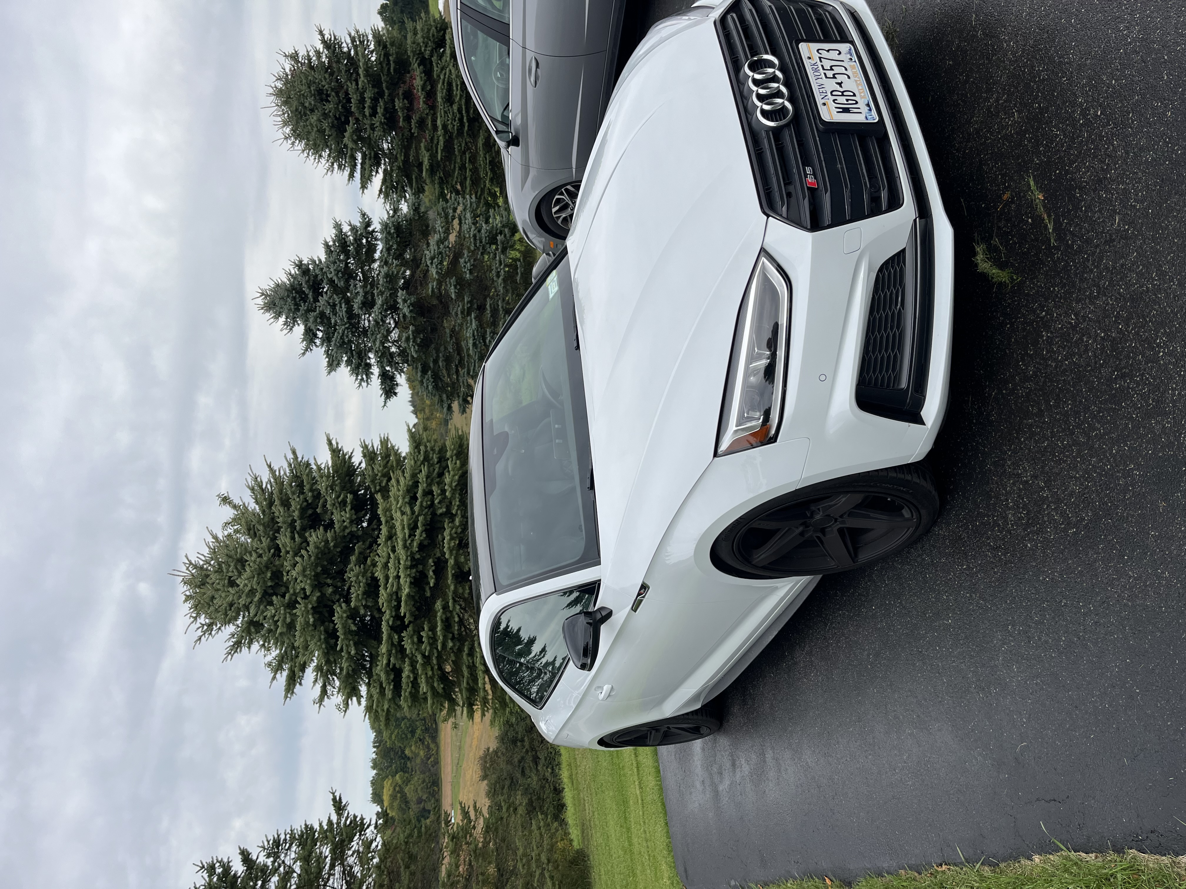 Used 2019 Audi S5 Premium Plus AWD/4WD image 4