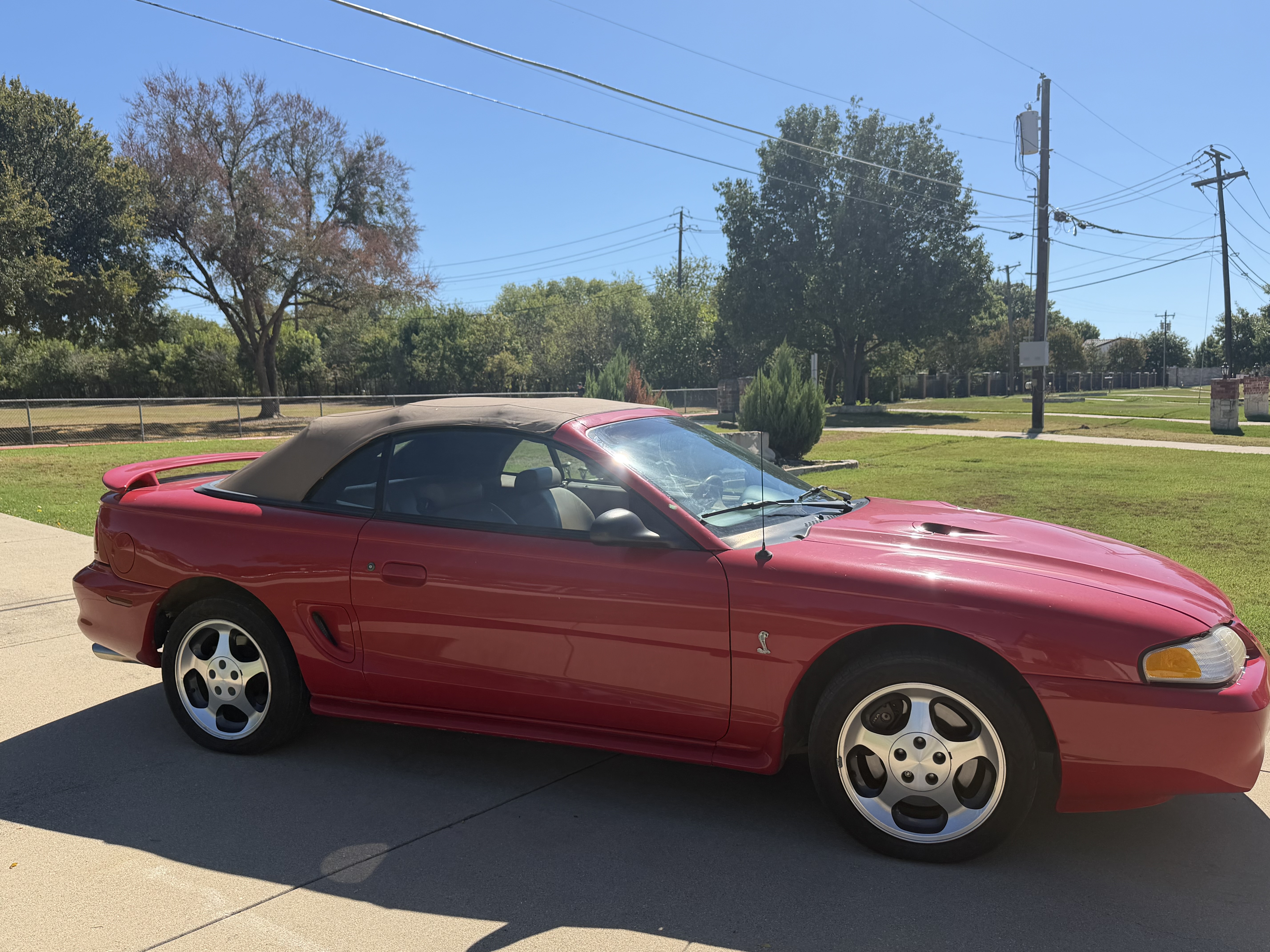 Used 1997 Ford Mustang Cobra RWD image 6