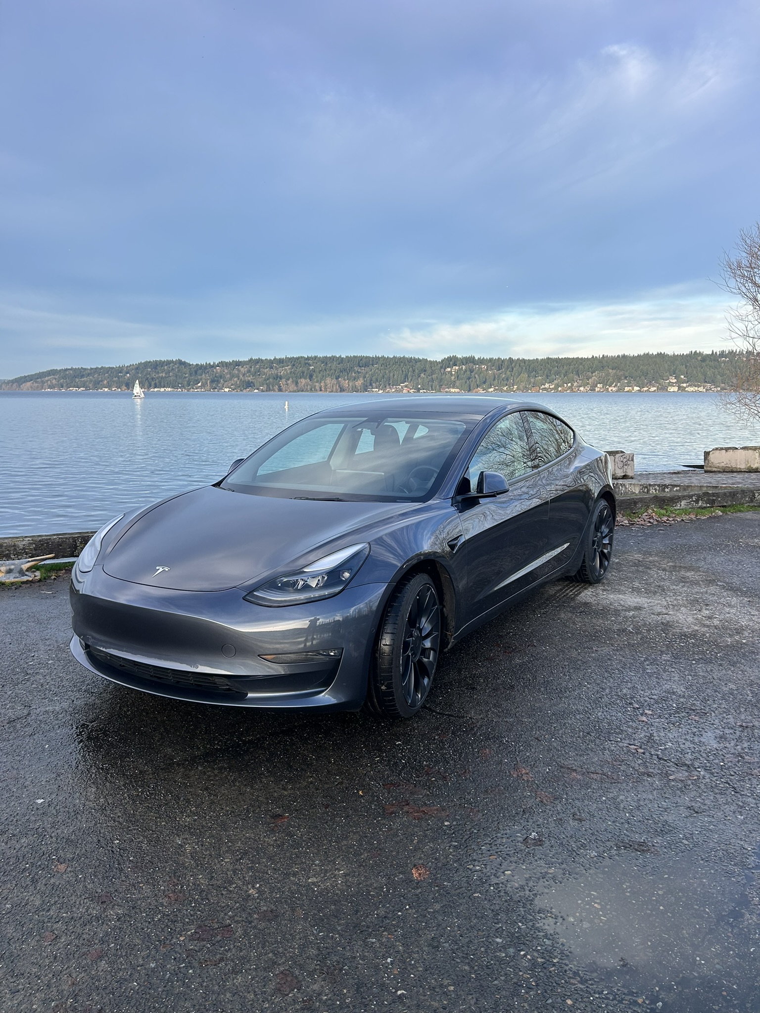 Used 2022 Tesla Model 3 Performance AWD/4WD image 1