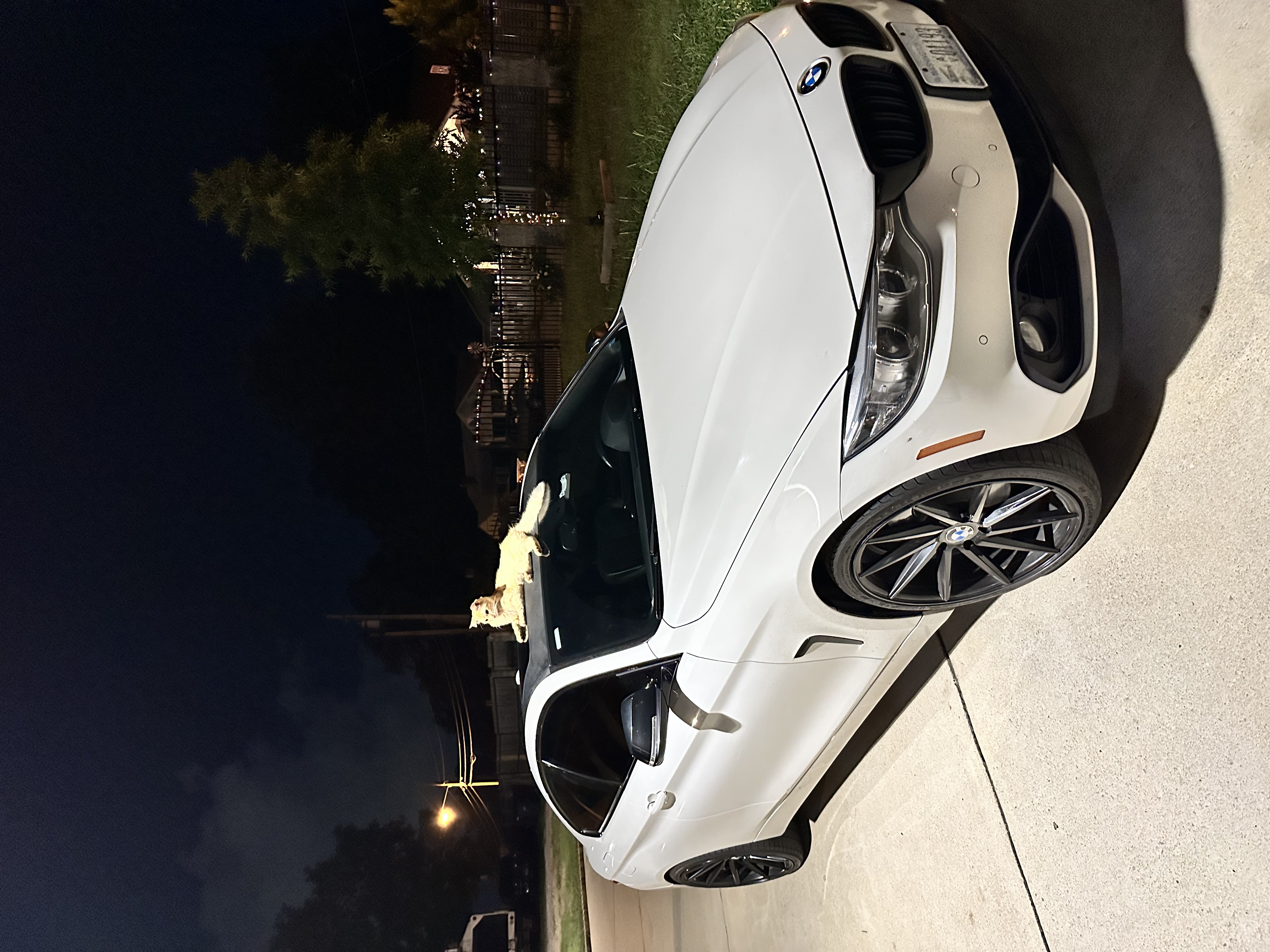 Used 2014 BMW 428i xDrive Coupe AWD/4WD image 5
