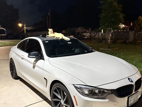 Used 2014 BMW 428i xDrive Coupe AWD/4WD image 5