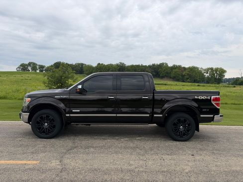 Used 2013 Ford F150 Platinum AWD/4WD image 1