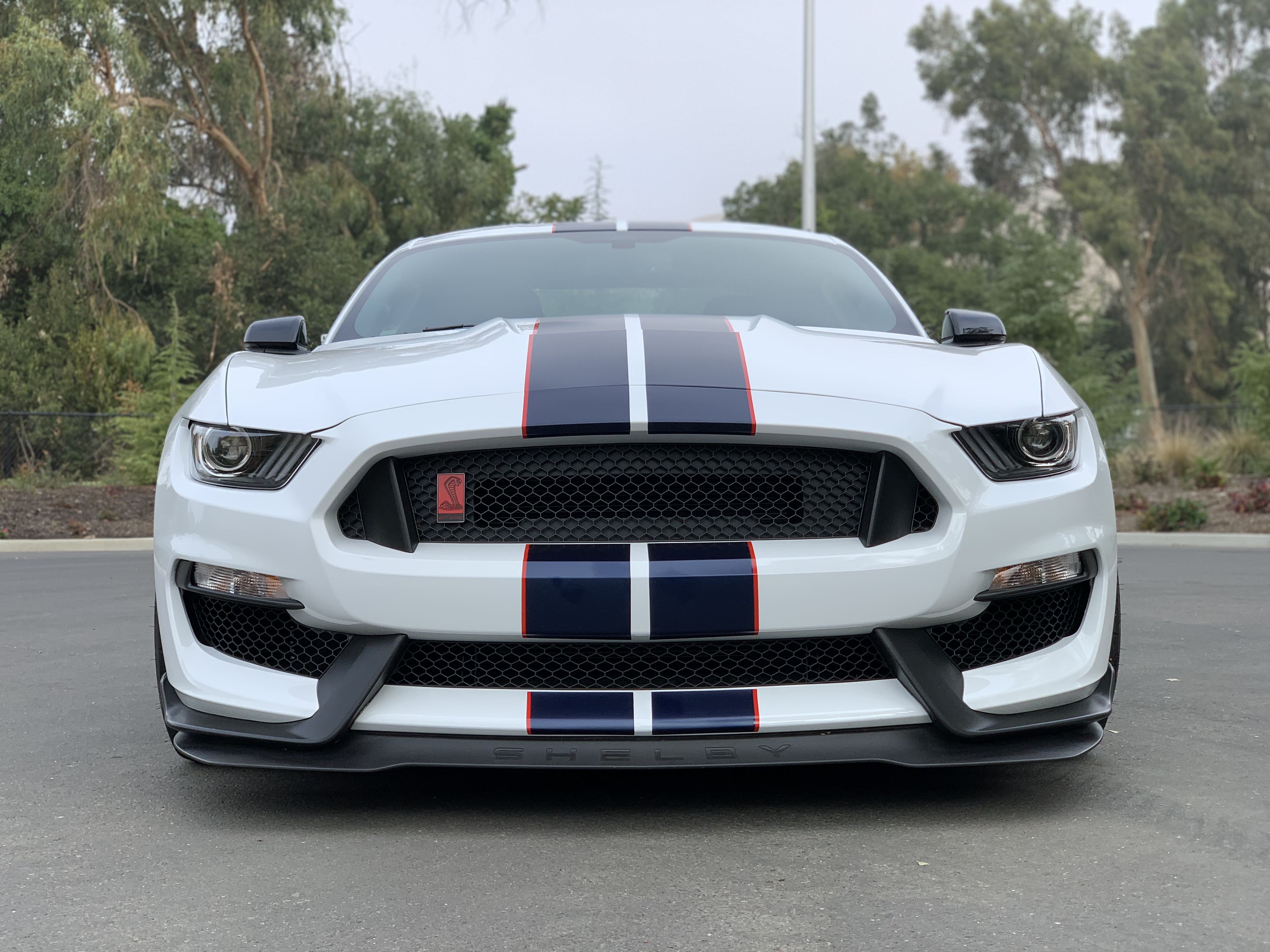 Used 2019 Ford Mustang Shelby GT350R w/ GT350R Equipment Group 920A RWD image 6