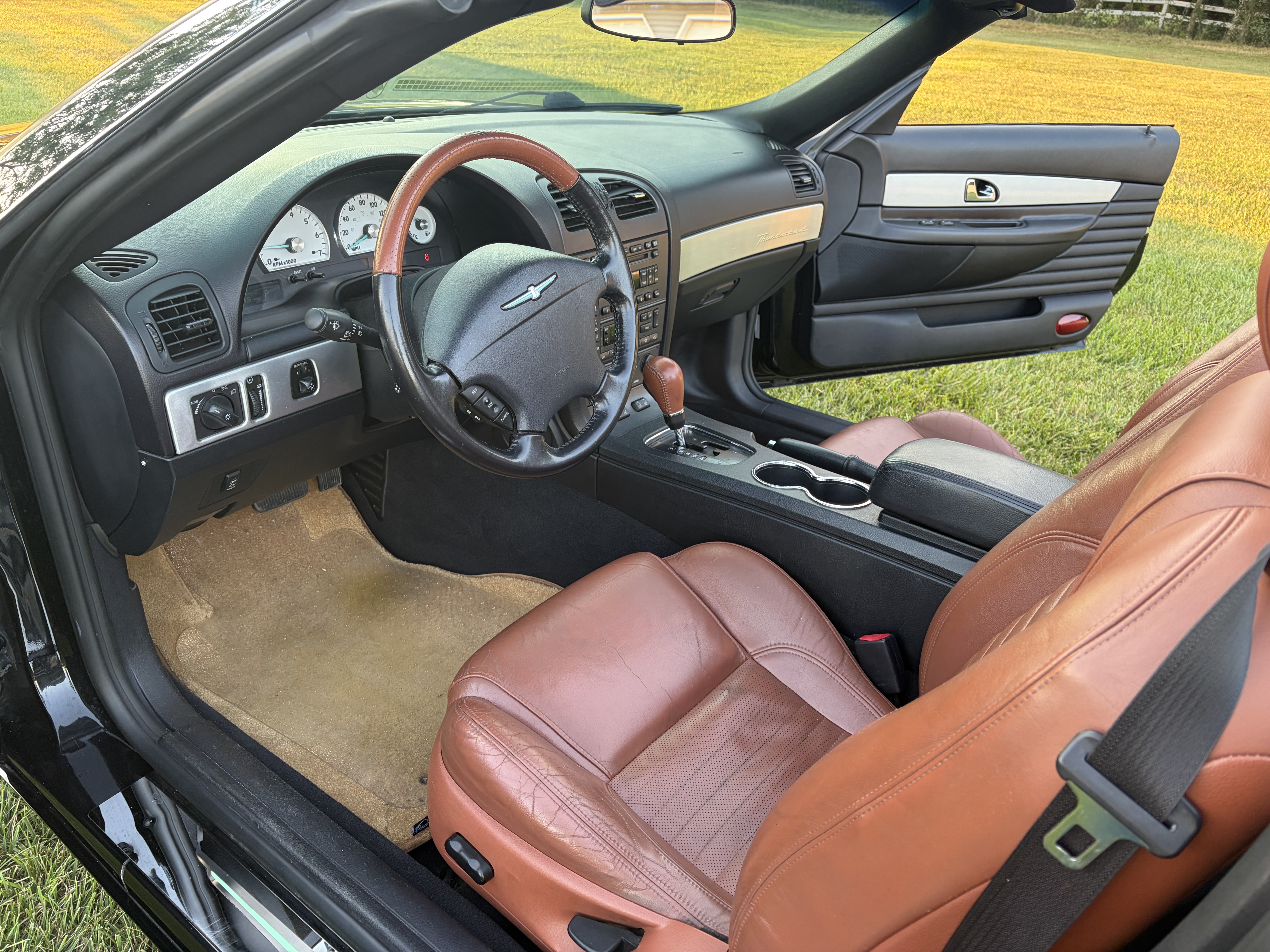 Used 2003 Ford Thunderbird RWD image 15