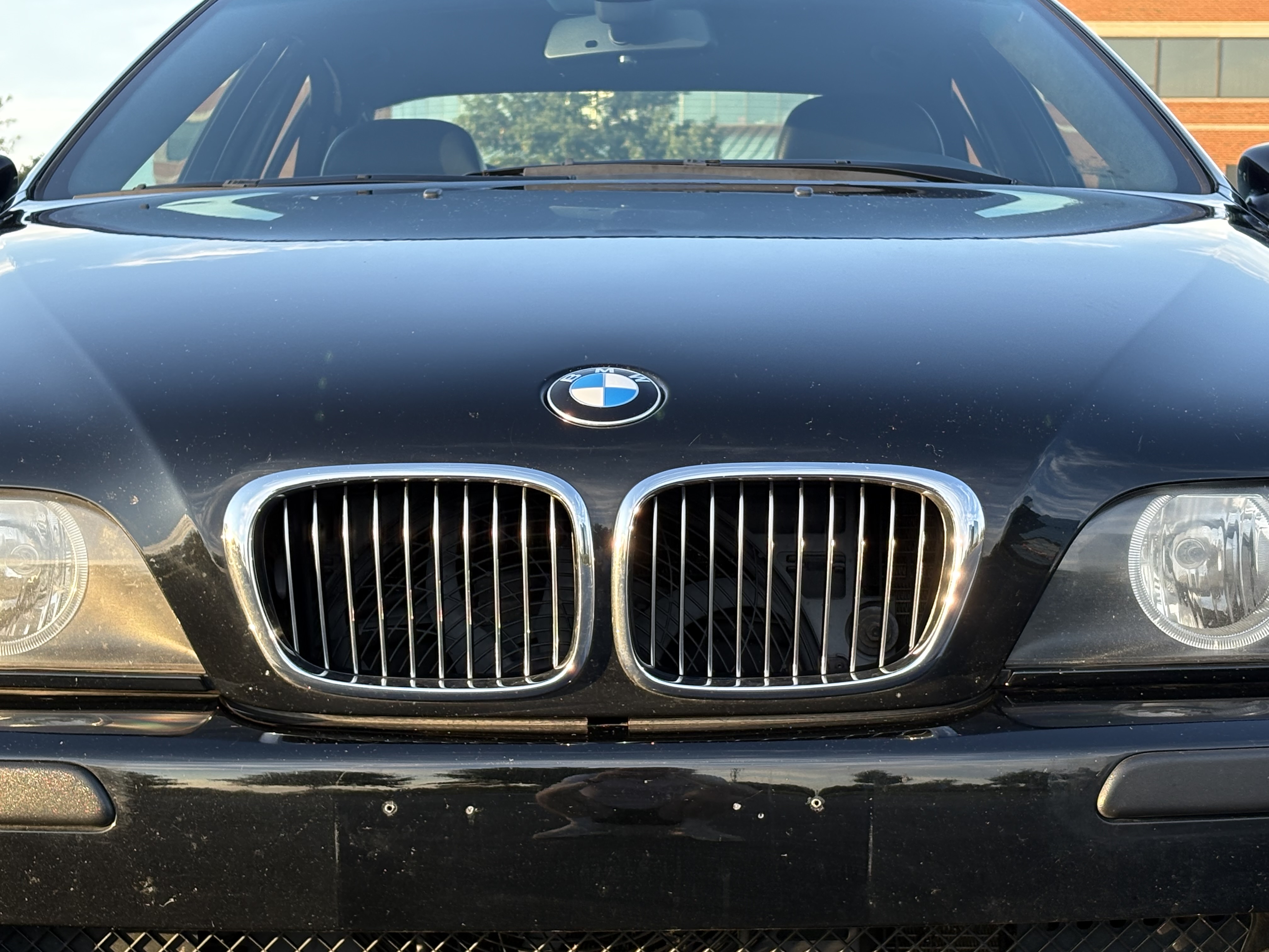 Used 2003 BMW M5 RWD image 6