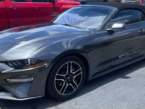 Used 2019 Ford Mustang Premium w/ Ford Safe & Smart Package RWD image 2