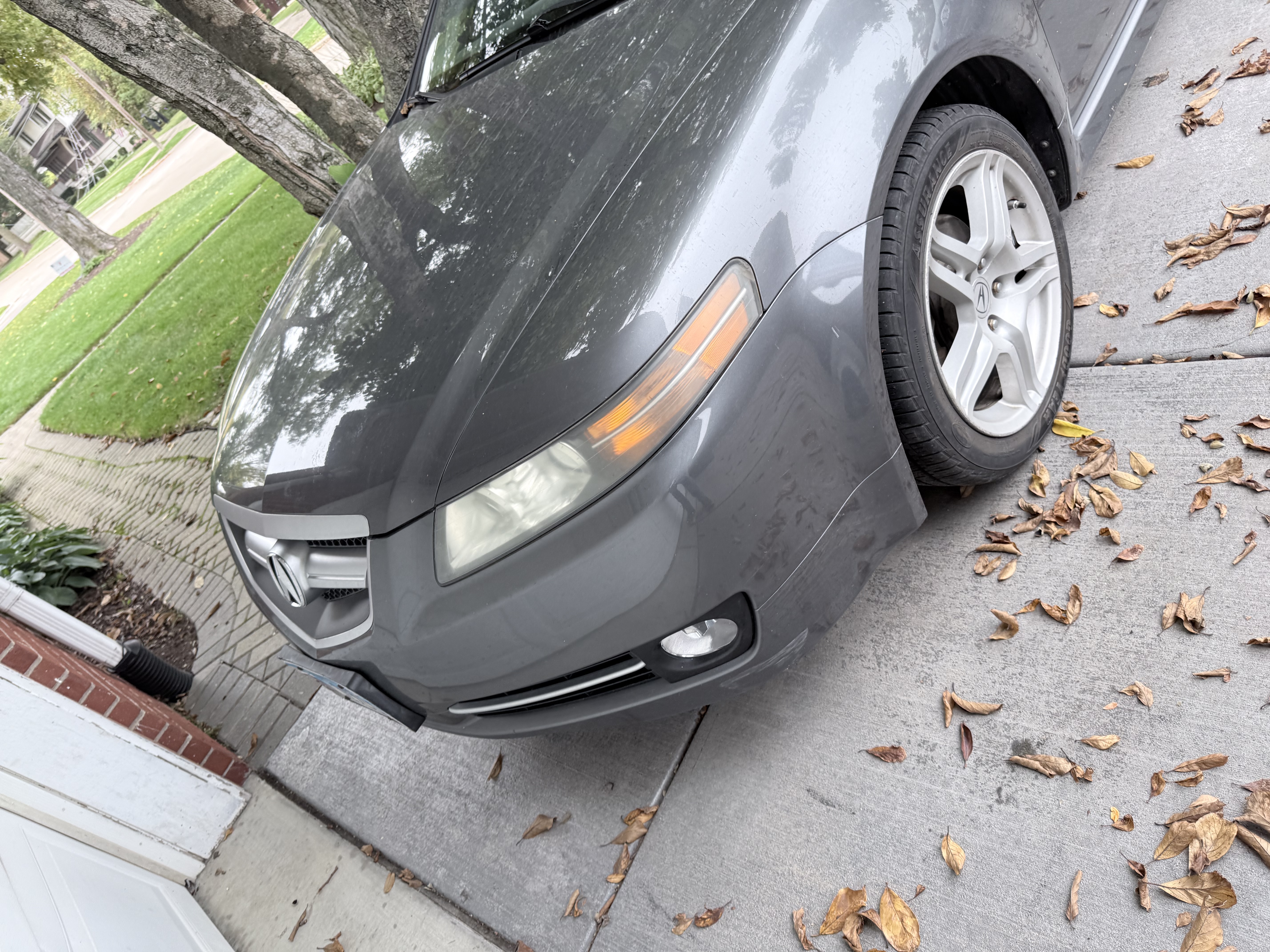 Used 2008 Acura TL FWD image 4