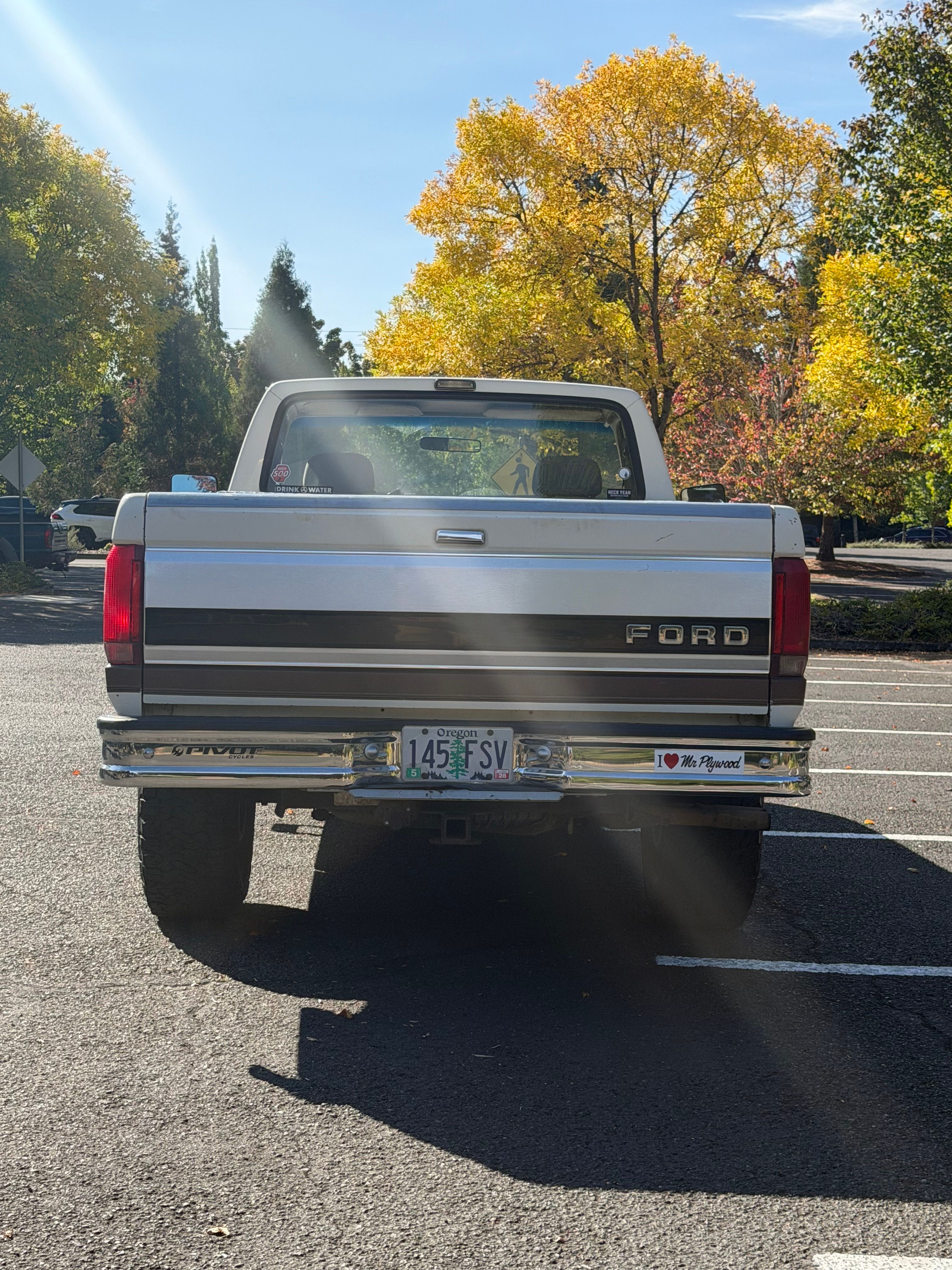 Used 1993 Ford F250 2WD Regular Cab image 8