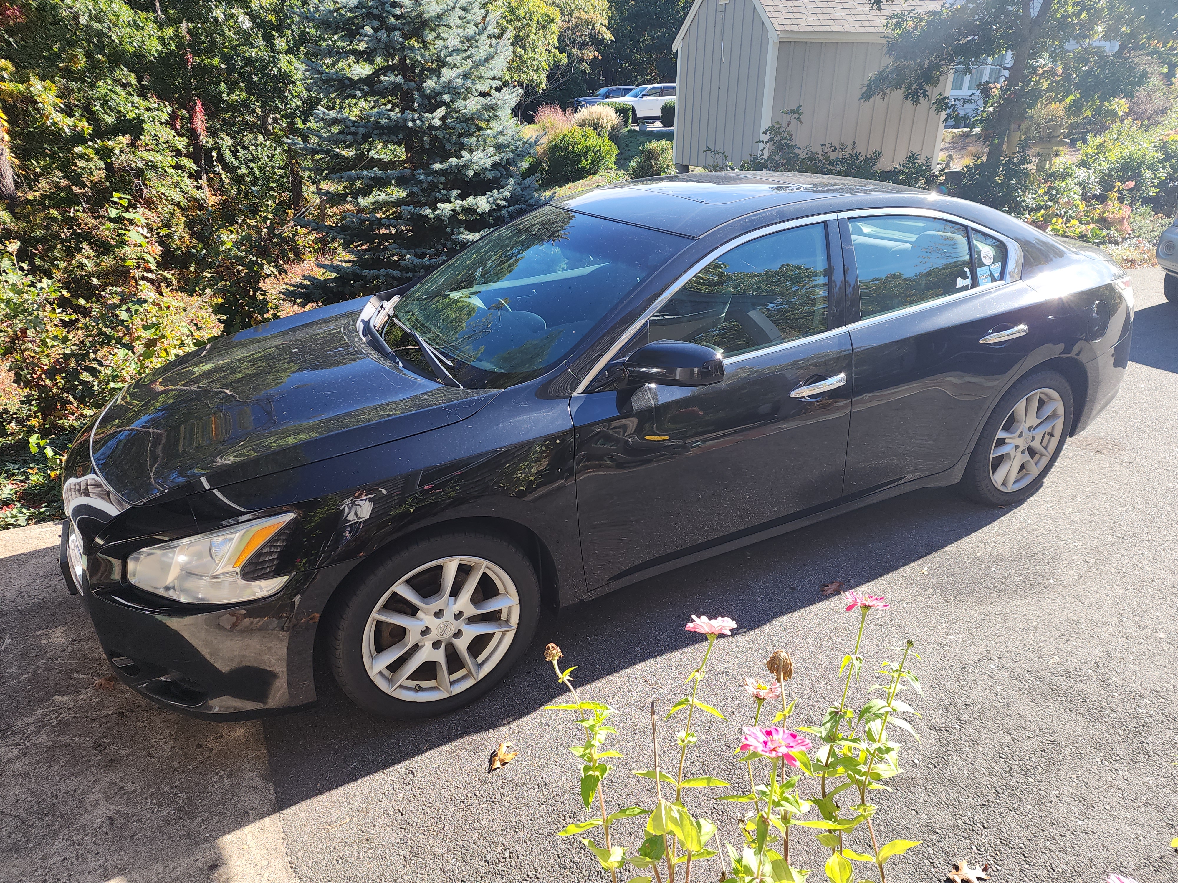 Used 2014 Nissan Maxima 3.5 S FWD image 1