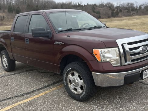 Used 2010 Ford F150 XLT image 2
