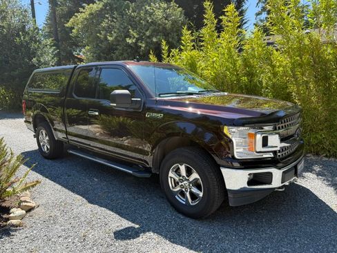 Used 2019 Ford F150 XLT w/ Equipment Group 302A Luxury AWD/4WD image 8