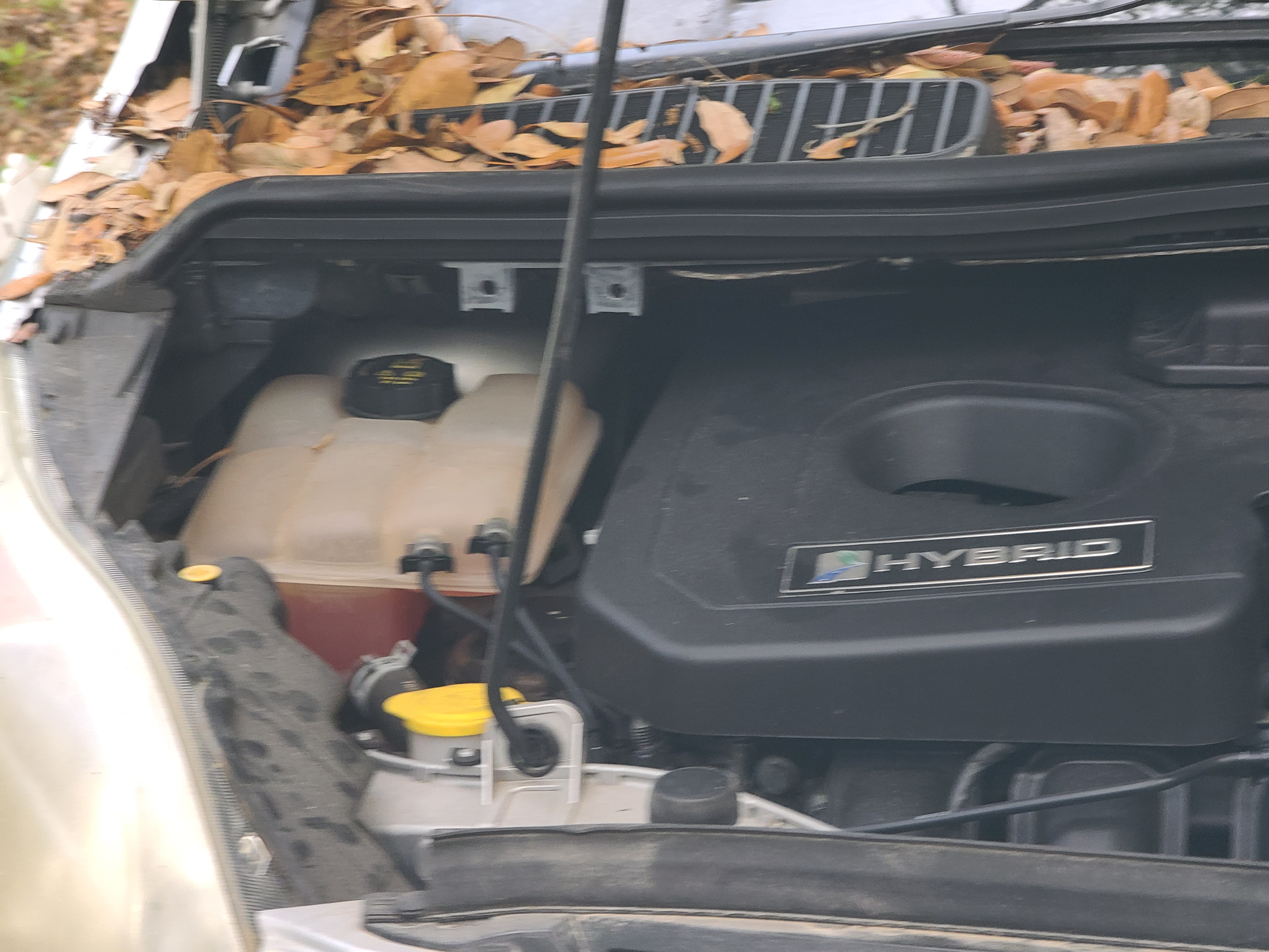 Used 2015 Ford C-MAX SE FWD image 12
