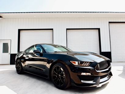 Used 2019 Ford Mustang Shelby GT350 w/ Technology Package