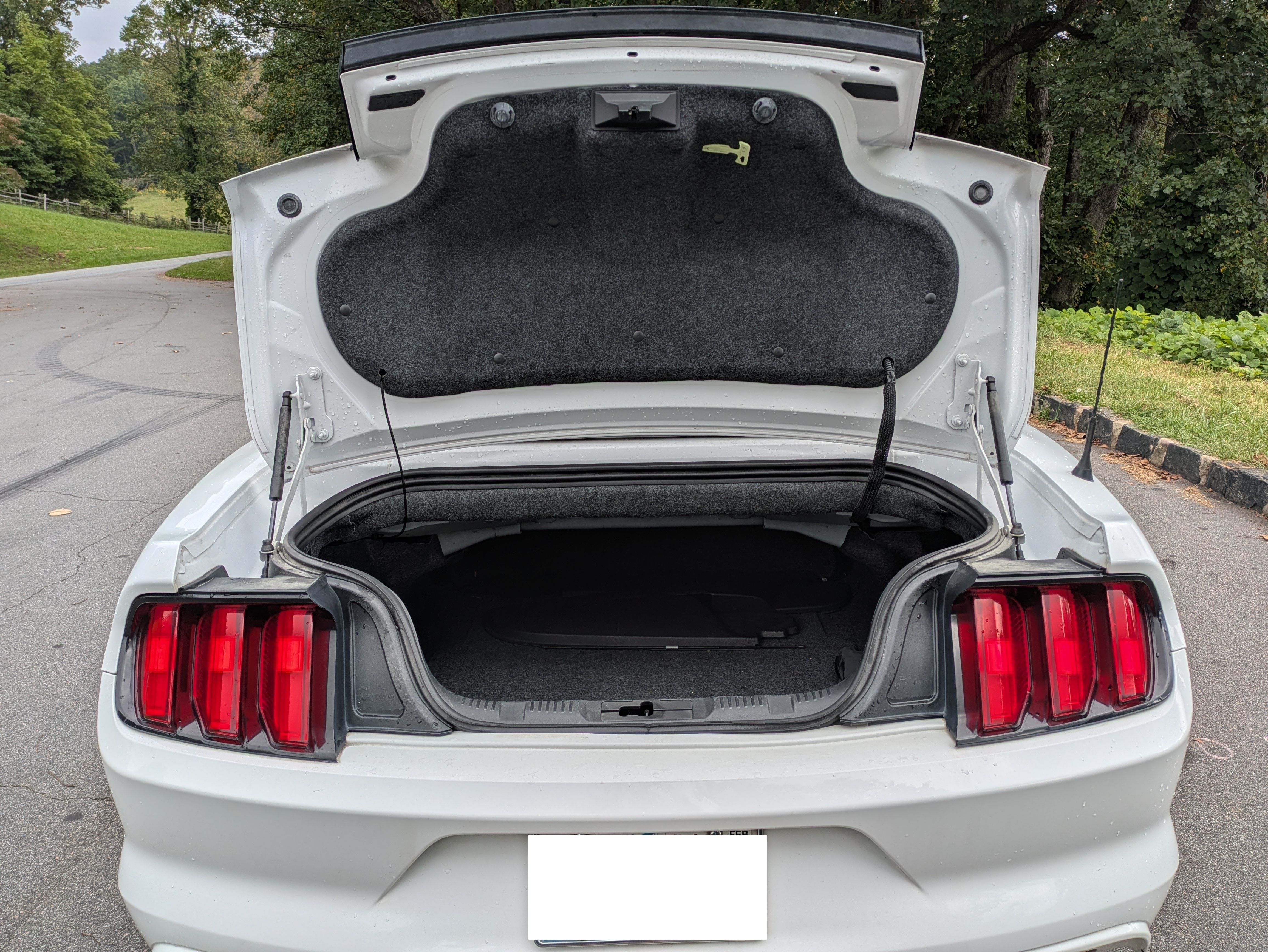 Used 2015 Ford Mustang Convertible w/ Equipment Group 051A RWD image 16
