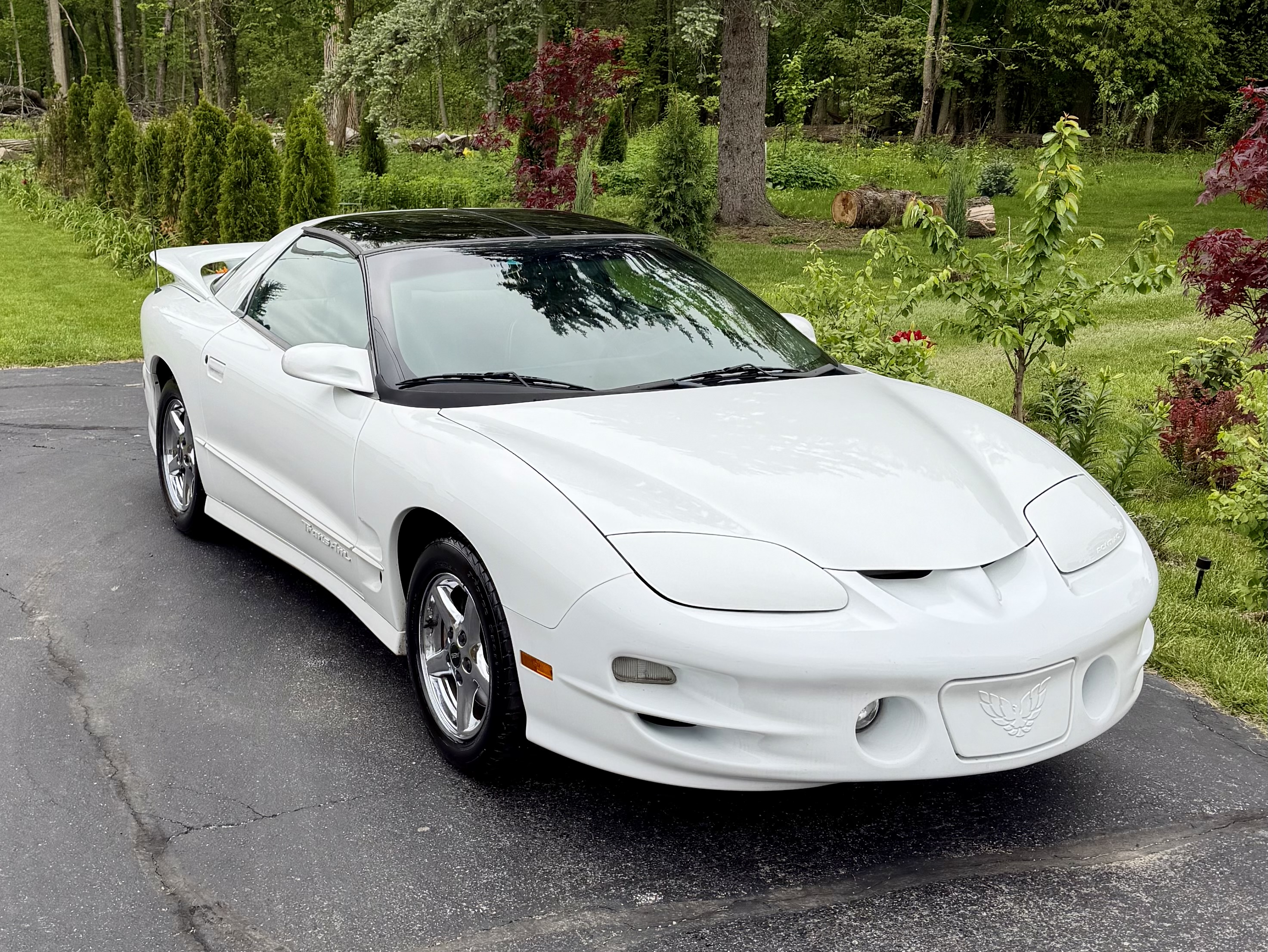 Used 2000 Pontiac Firebird Formula w/ Security Pkg RWD image 1