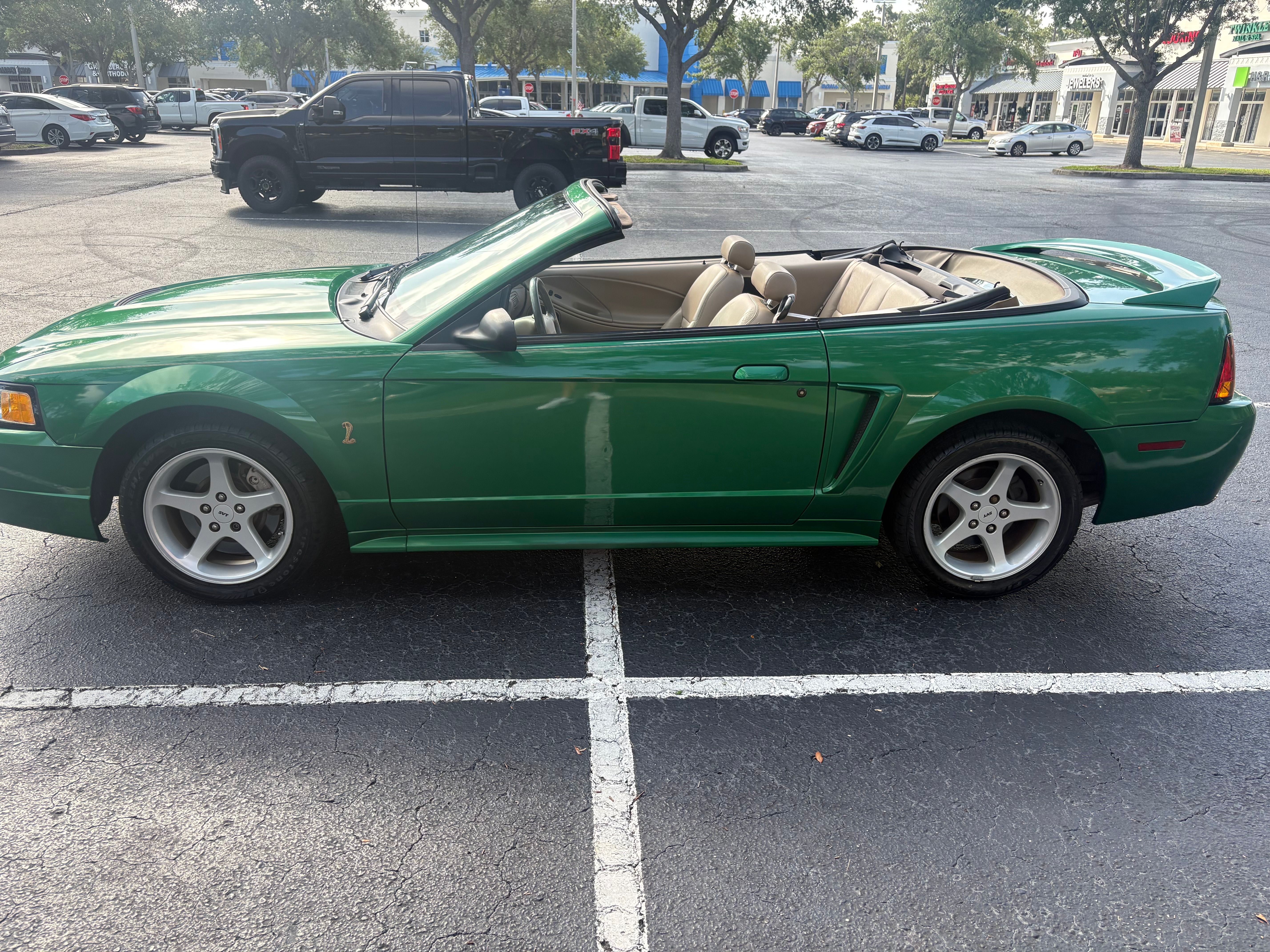 Used 1999 Ford Mustang Cobra RWD image 1