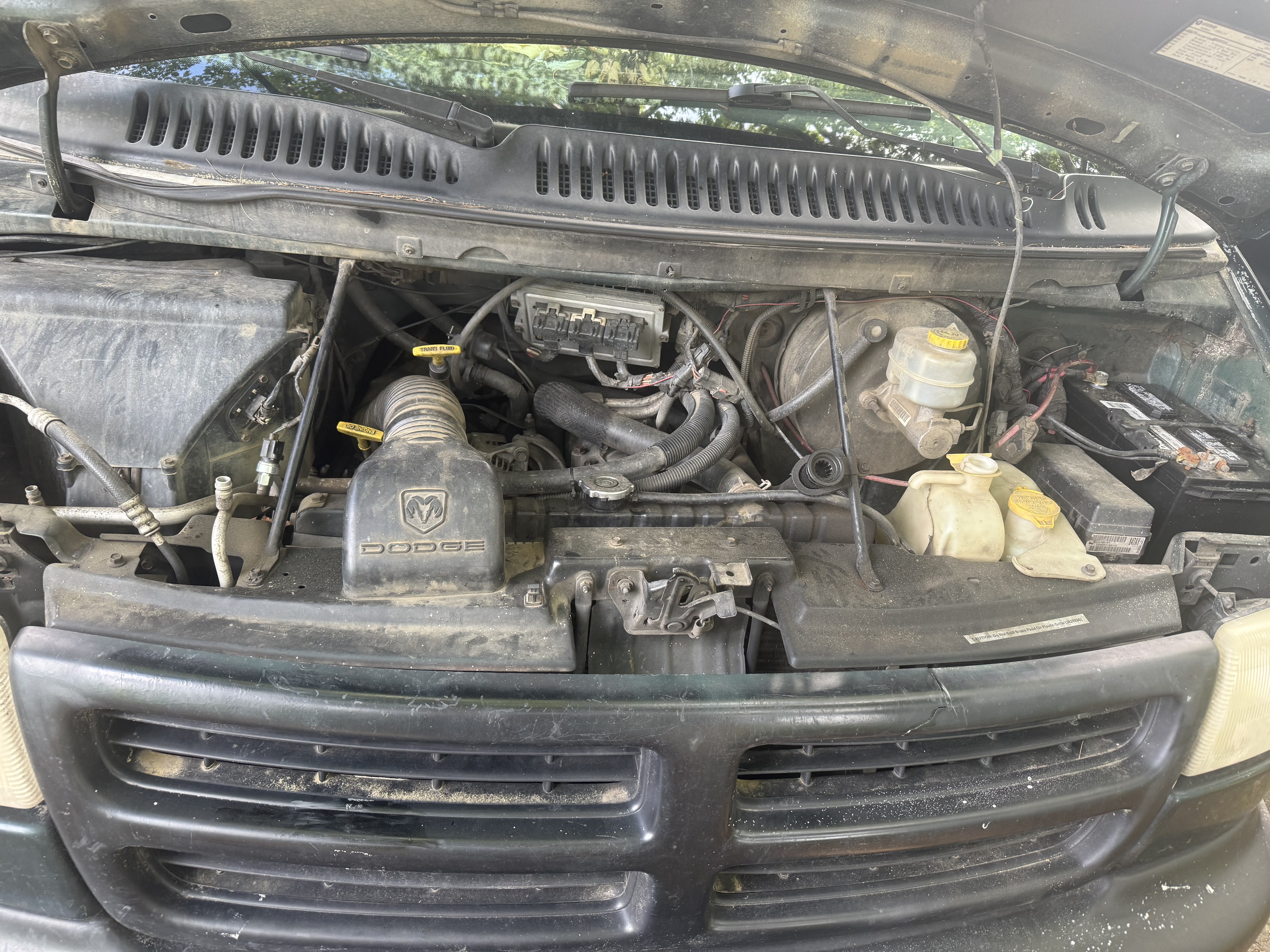 Used 2002 Dodge B2500 RWD image 8