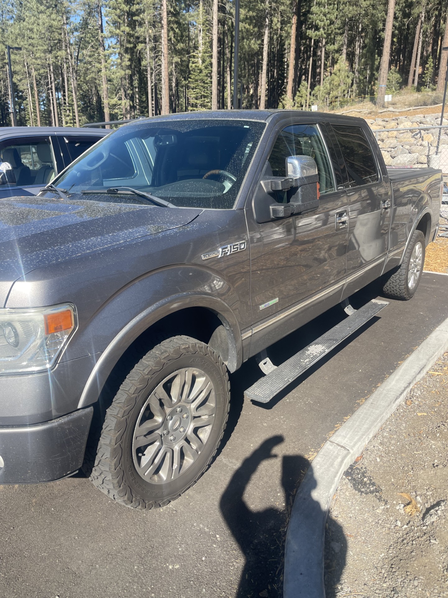 Used 2013 Ford F150 Platinum AWD/4WD image 1