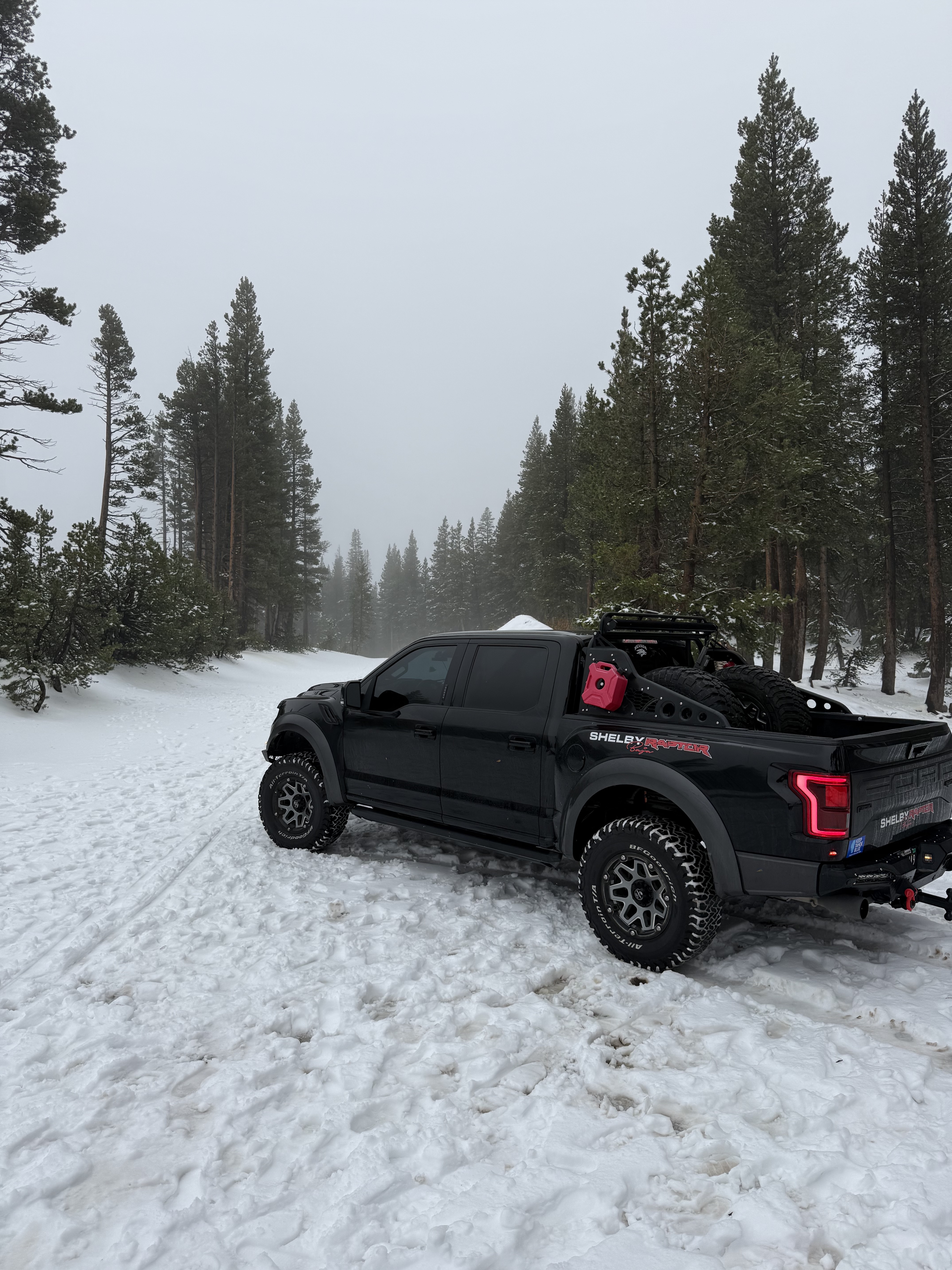 Used 2018 Ford F150 Raptor w/ Equipment Group 802A Luxury AWD/4WD image 5