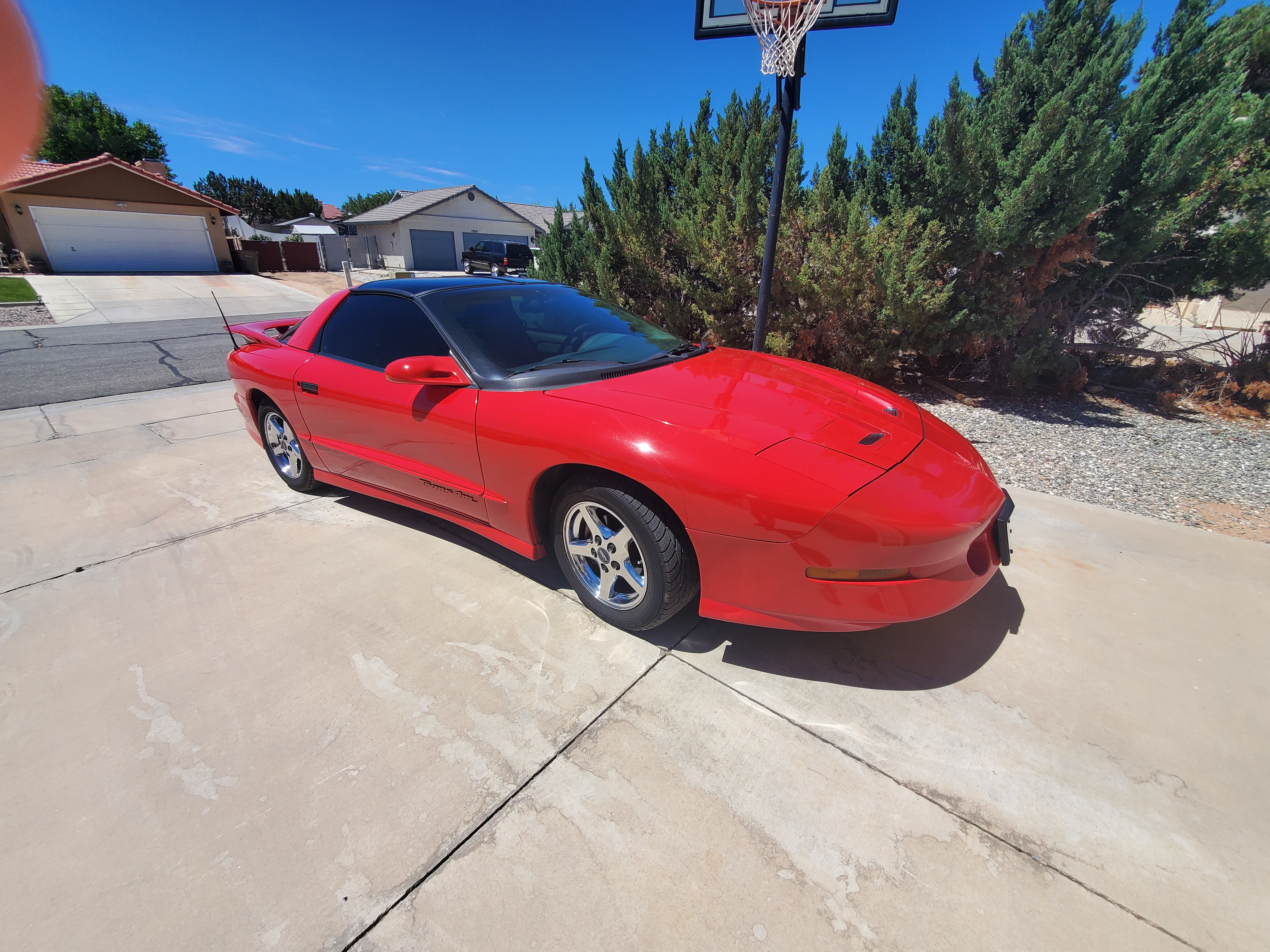 Used 1997 Pontiac Firebird Trans Am RWD image 22