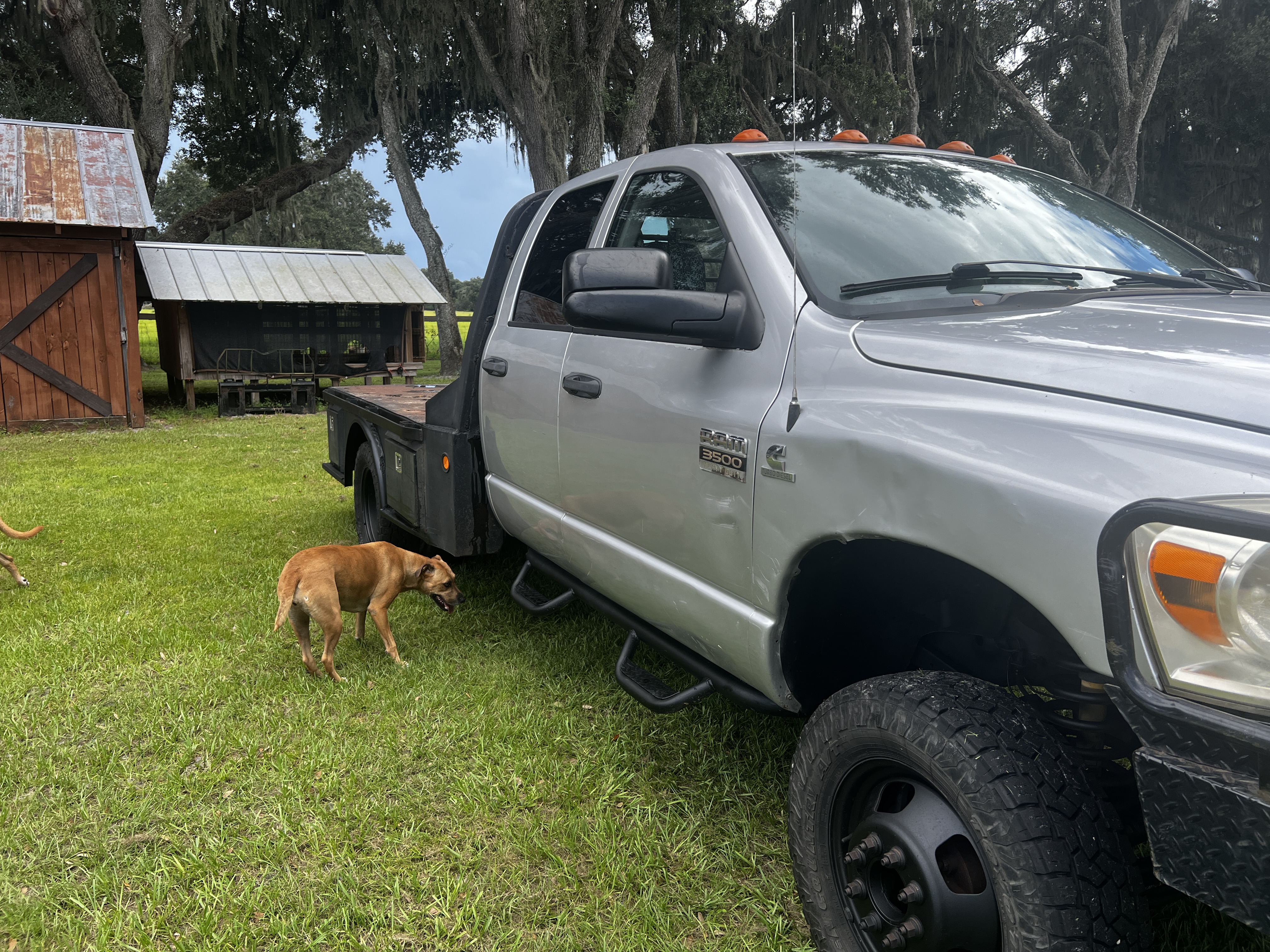 Used 2007 Dodge Ram 3500 Truck 4x4 Quad Cab DRW w/ ST Decor Group image 4