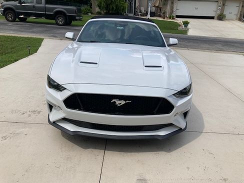 Used 2020 Ford Mustang GT Premium w/ Equipment Group 401A RWD image 1