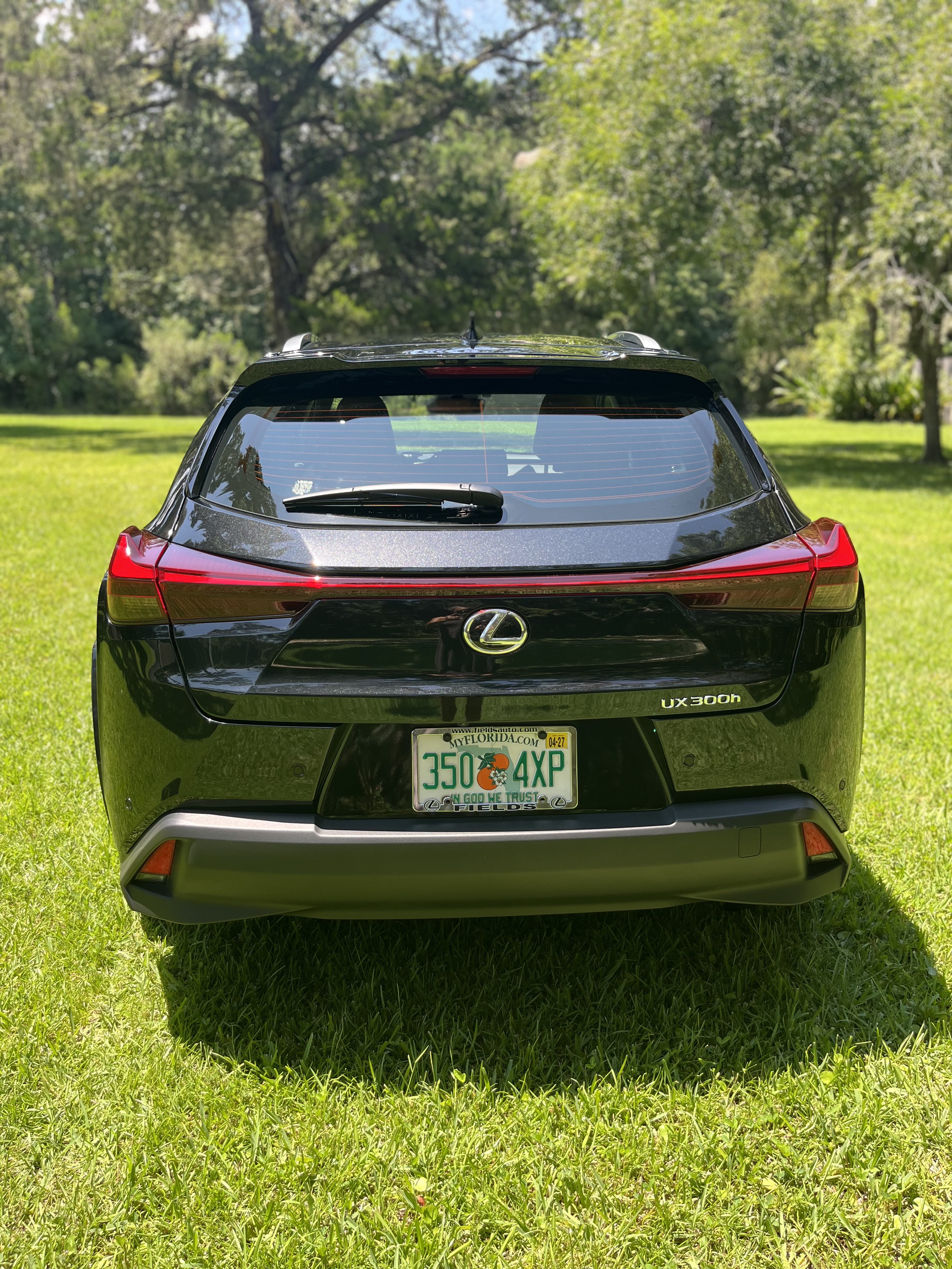 Used 2025 Lexus UX 300h FWD w/ Accessory Package (Z1) image 5