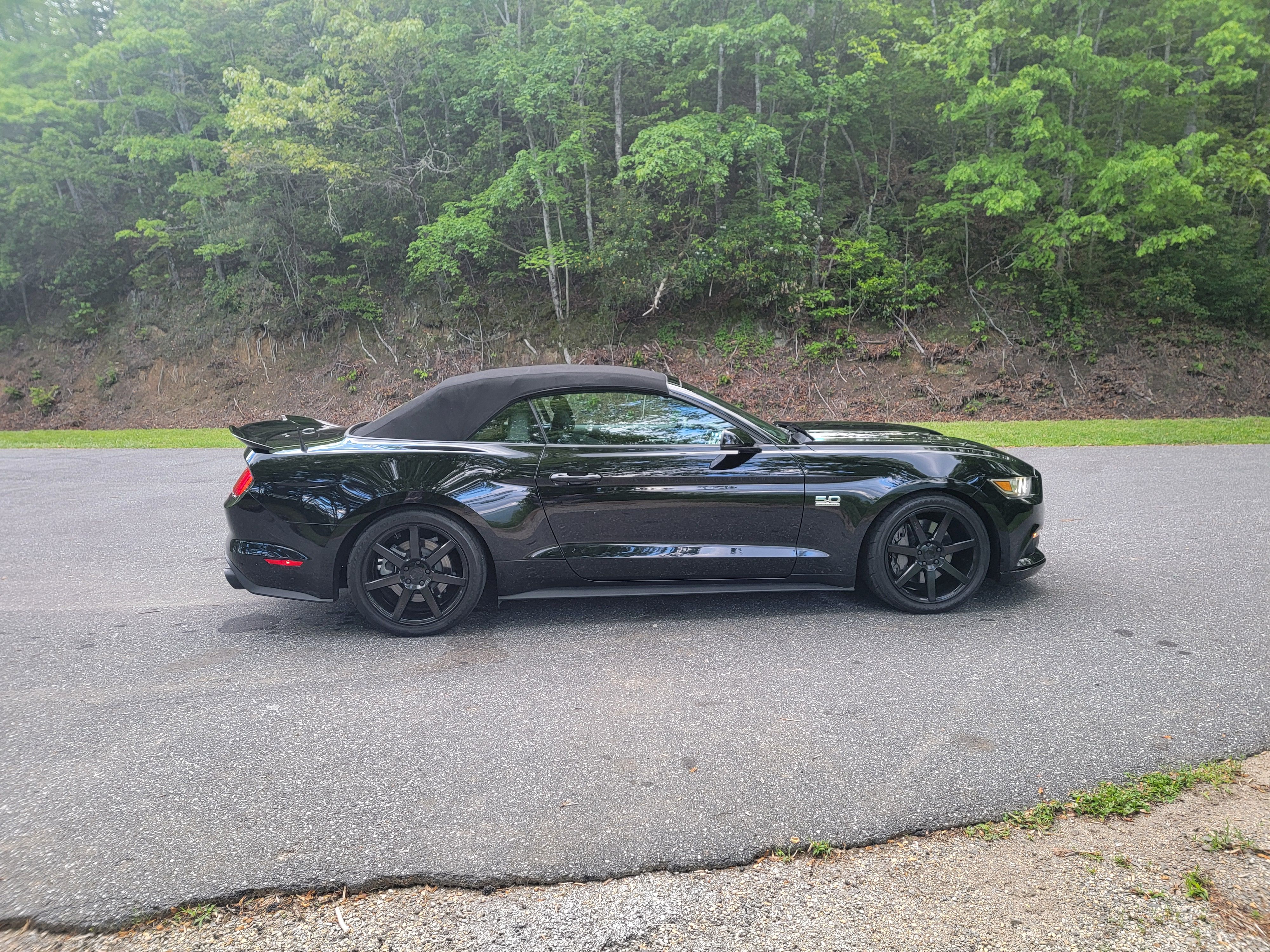 Used 2017 Ford Mustang GT Premium RWD image 1