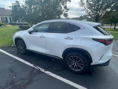 Used 2025 Lexus NX 250 AWD