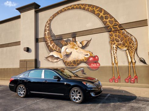 Used 2011 Hyundai Equus Ultimate image 6