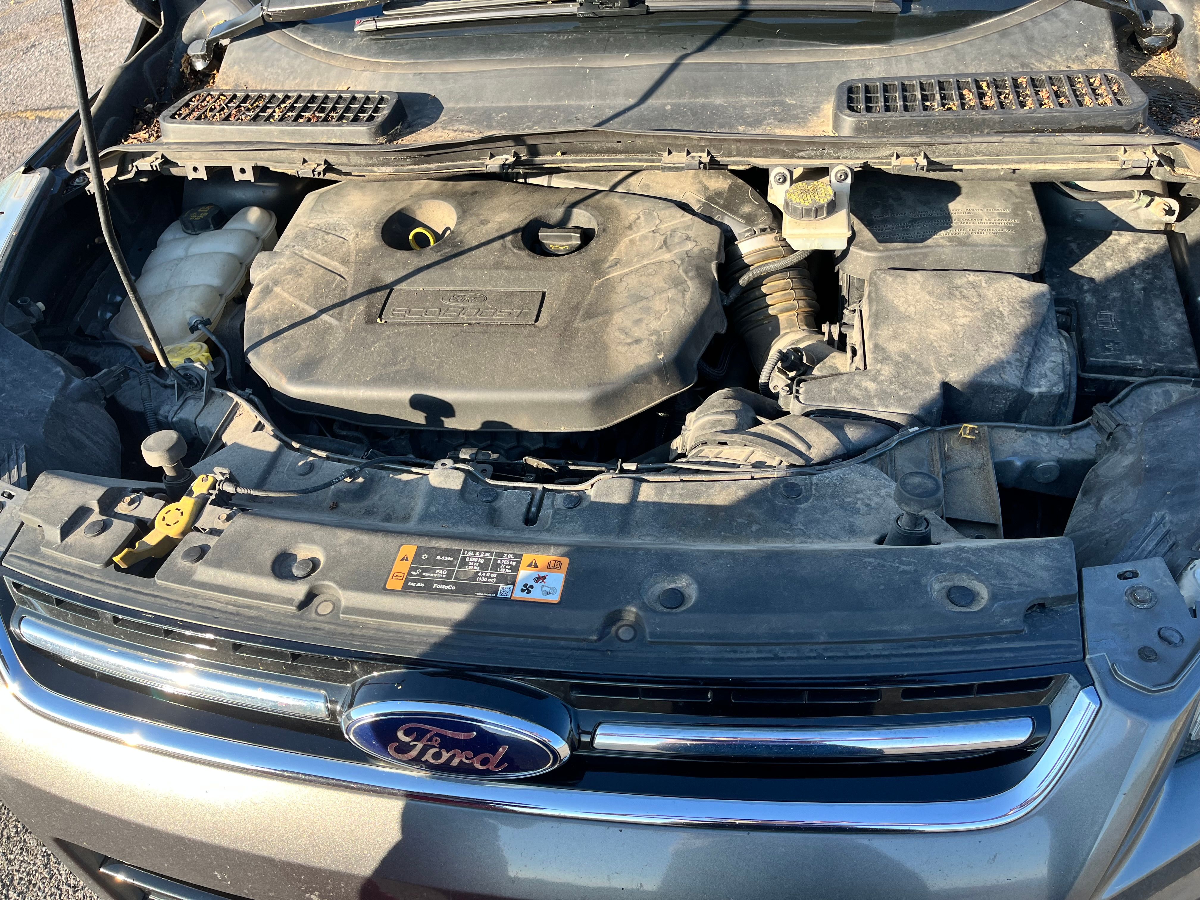 Used 2014 Ford Escape Titanium FWD image 6