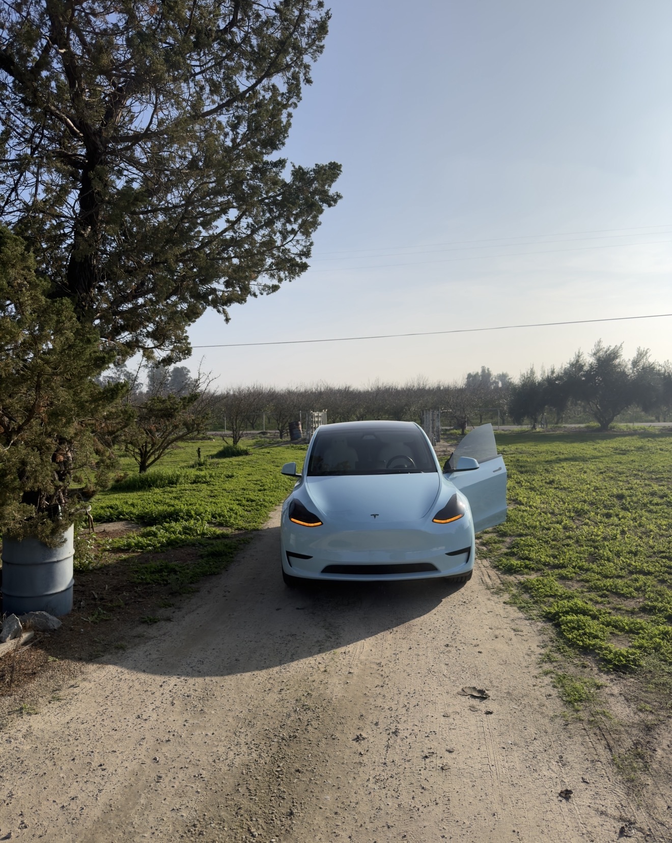 Used 2025 Tesla Model Y Long Range AWD/4WD image 4
