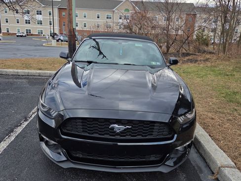 Used 2015 Ford Mustang Premium image 2