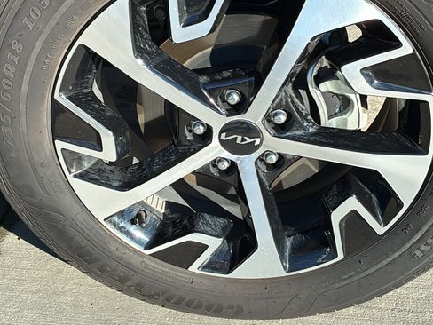 Used 2025 Kia Sportage EX w/ EX Premium Package image 16