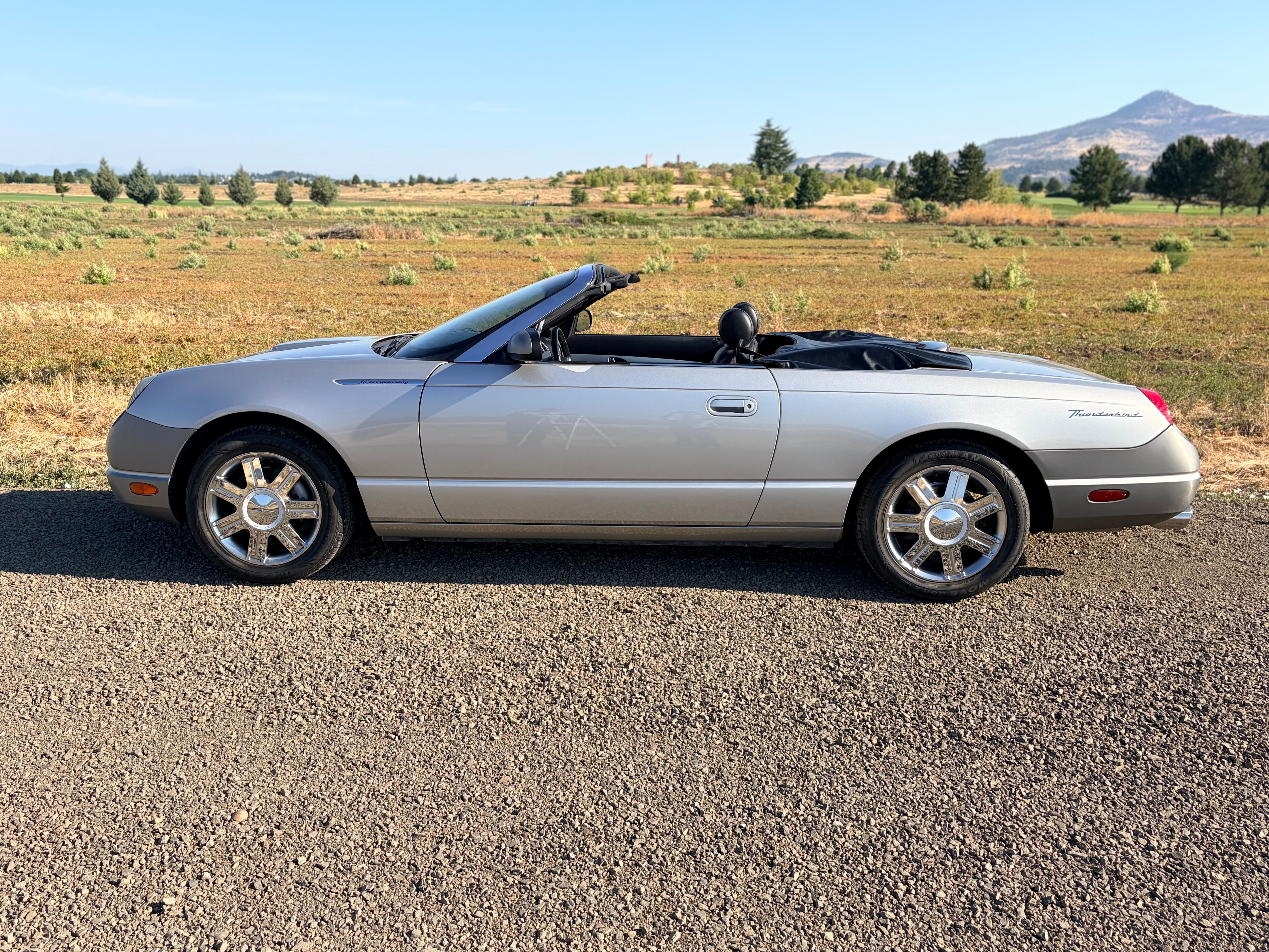 Used 2005 Ford Thunderbird RWD image 4