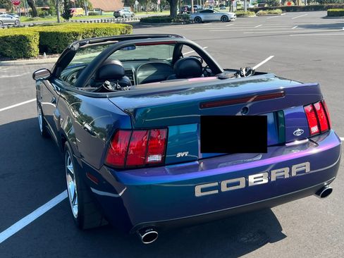 Used 2004 Ford Mustang Cobra RWD image 12