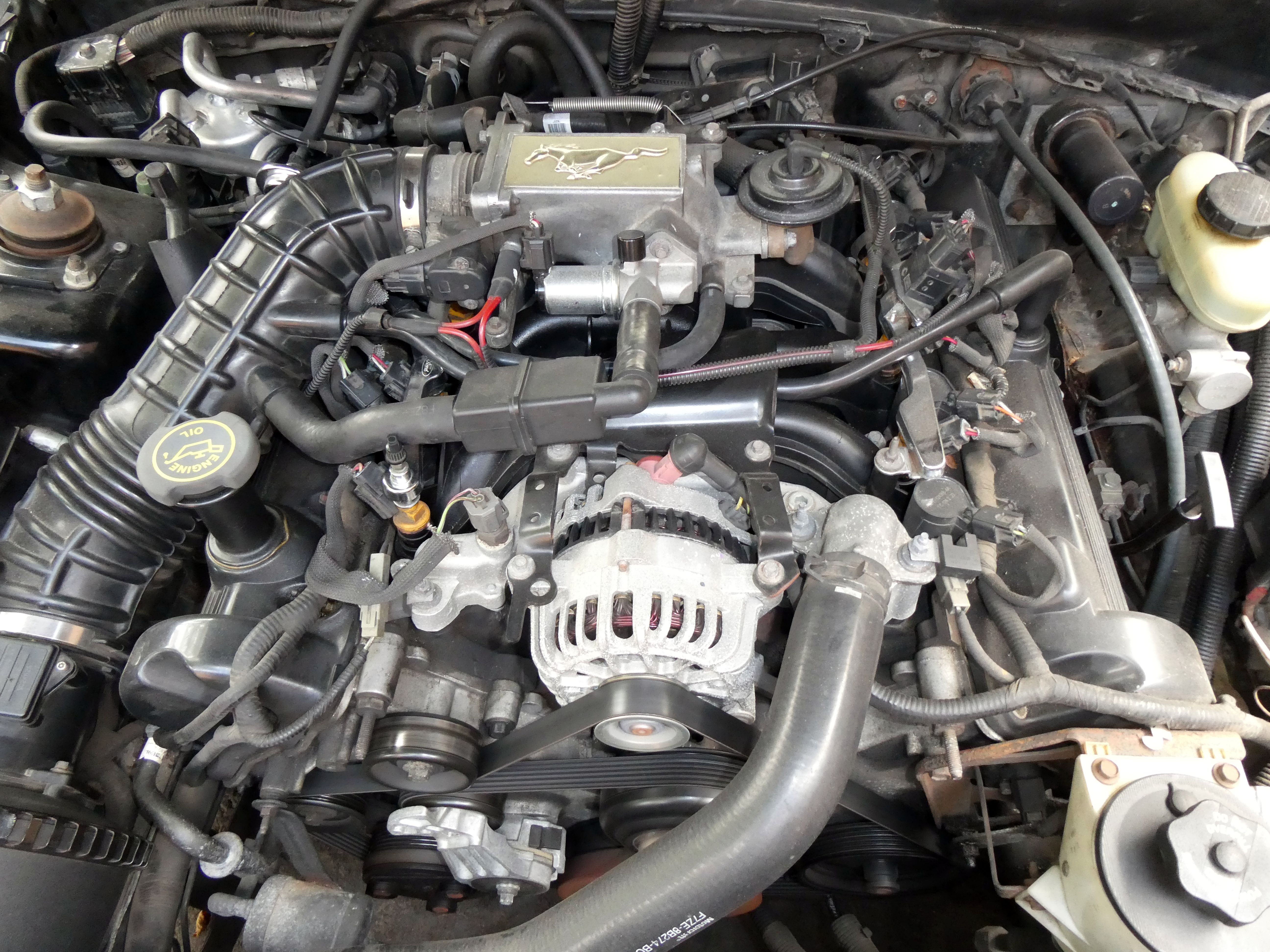 Used 2000 Ford Mustang GT RWD image 29