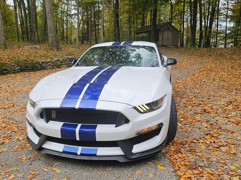 Used 2016 Ford Mustang Shelby GT350 w/ Track Package image 6