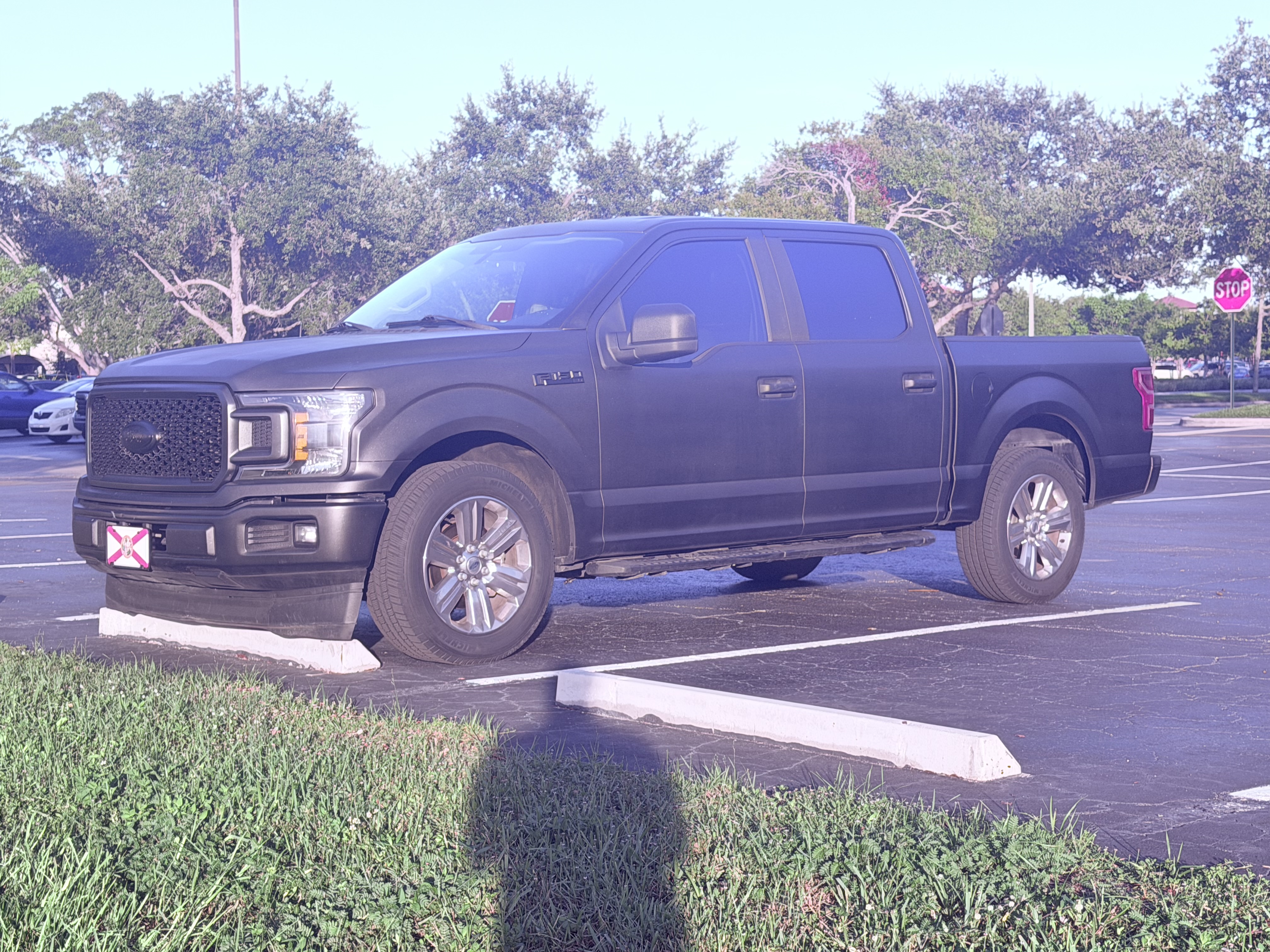 Used 2019 Ford F150 XL w/ Equipment Group 101A Mid RWD image 14