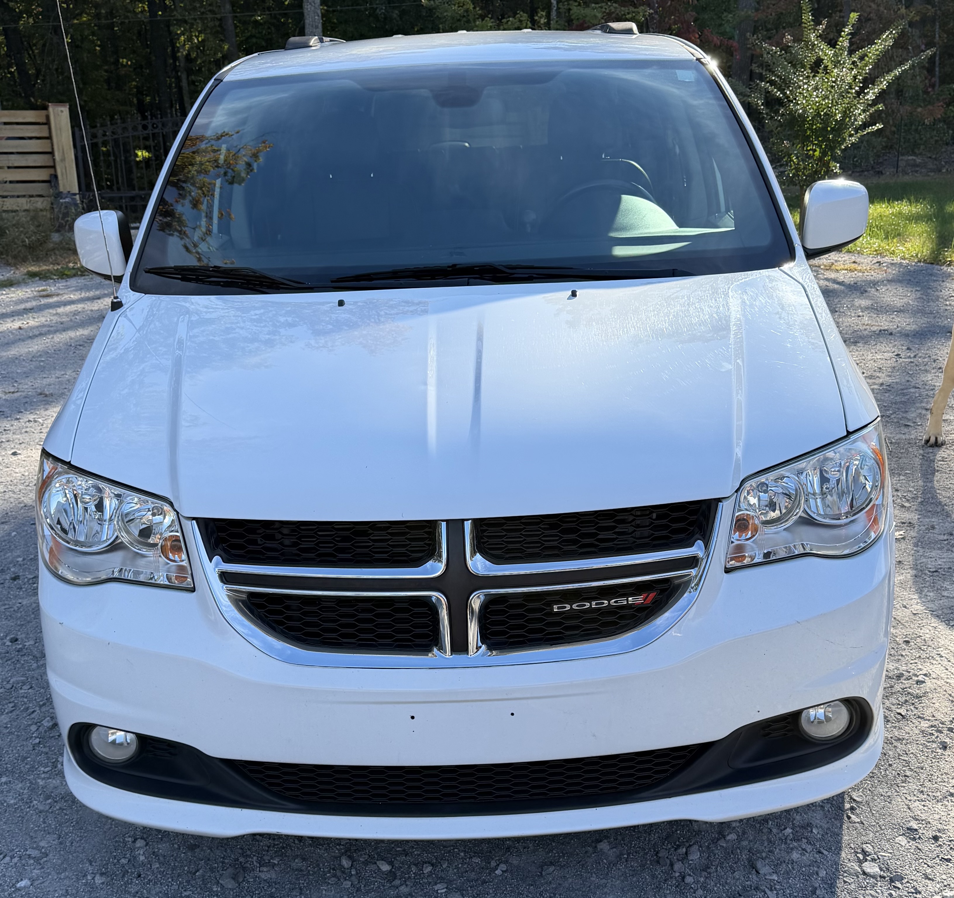 Used 2019 Dodge Grand Caravan SXT FWD image 8