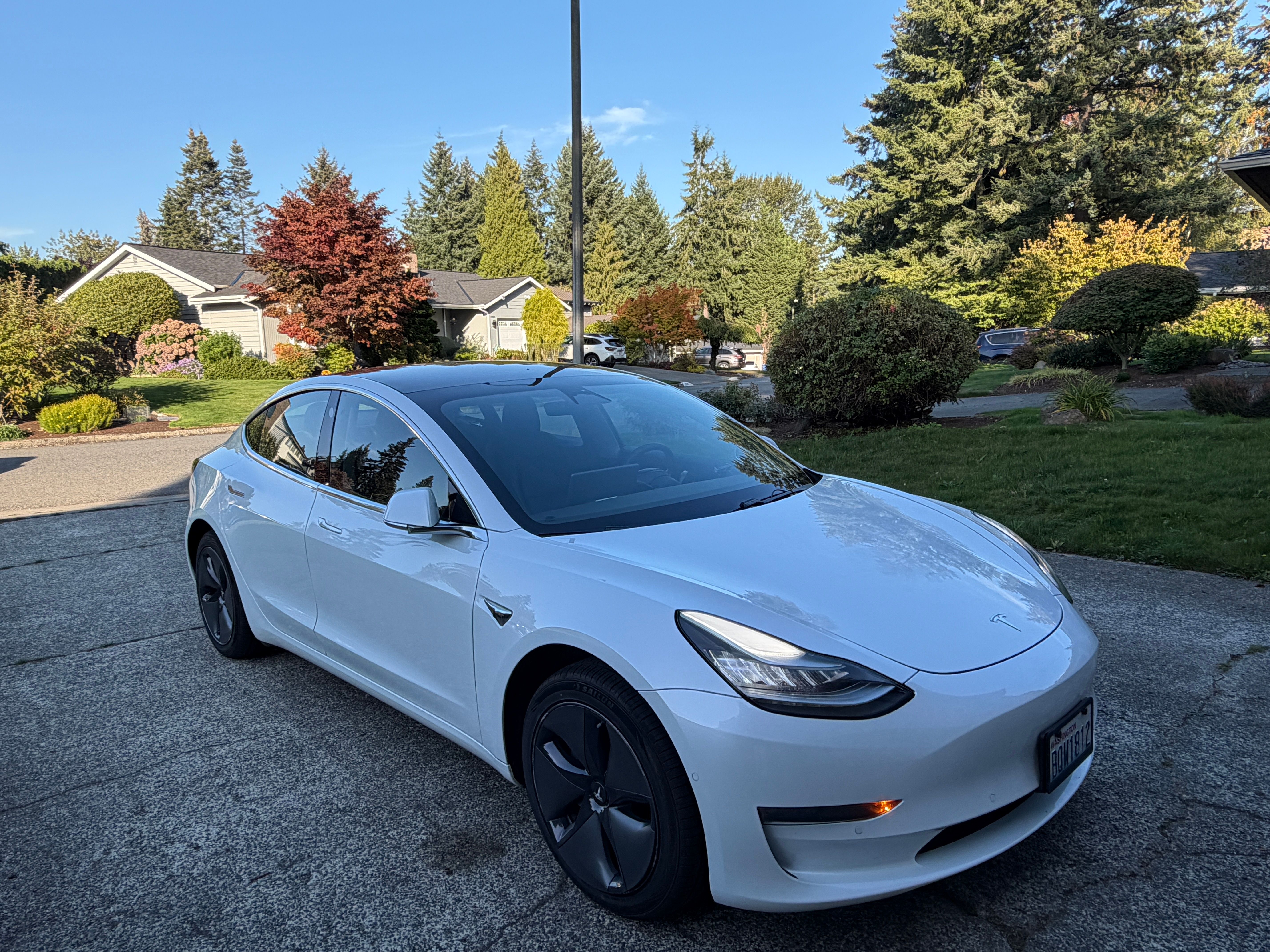 Used 2019 Tesla Model 3 Standard Range Plus RWD image 4